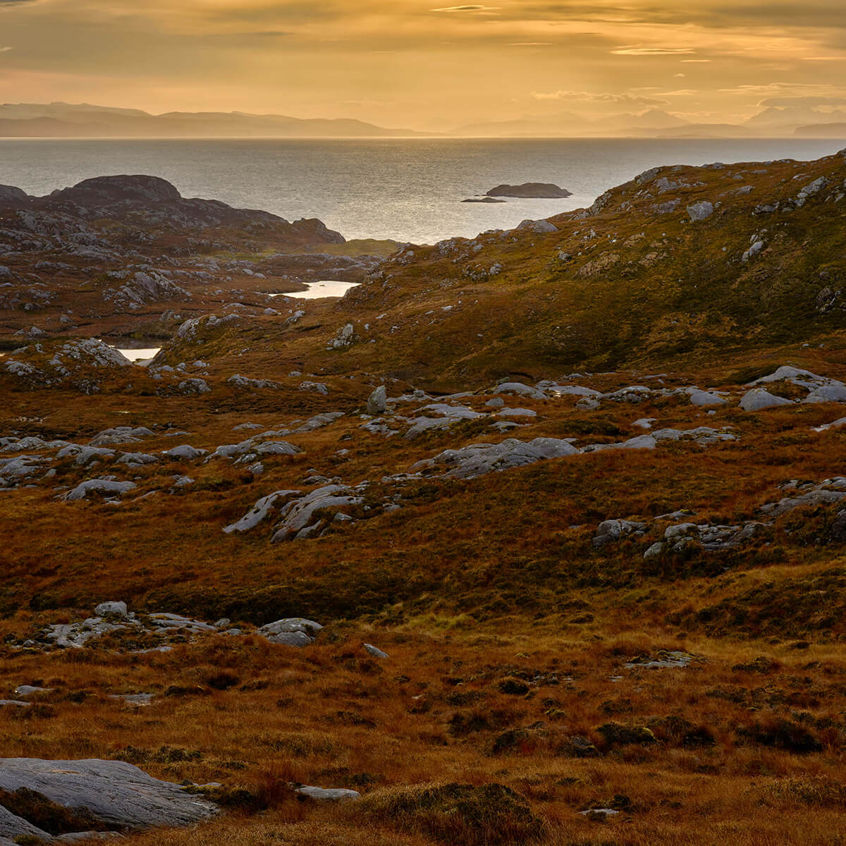 Soleil levant sur la côte