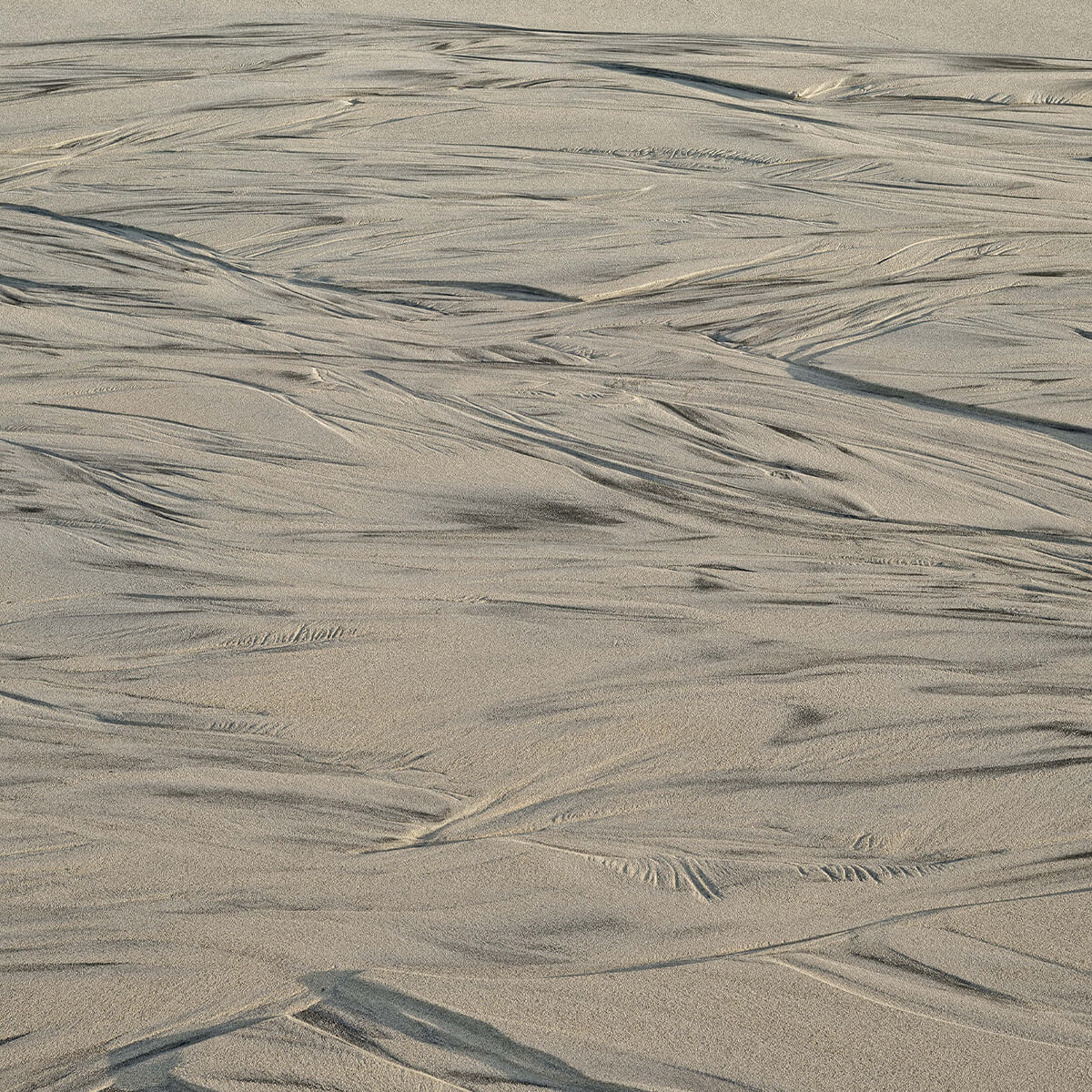 Glistening sand