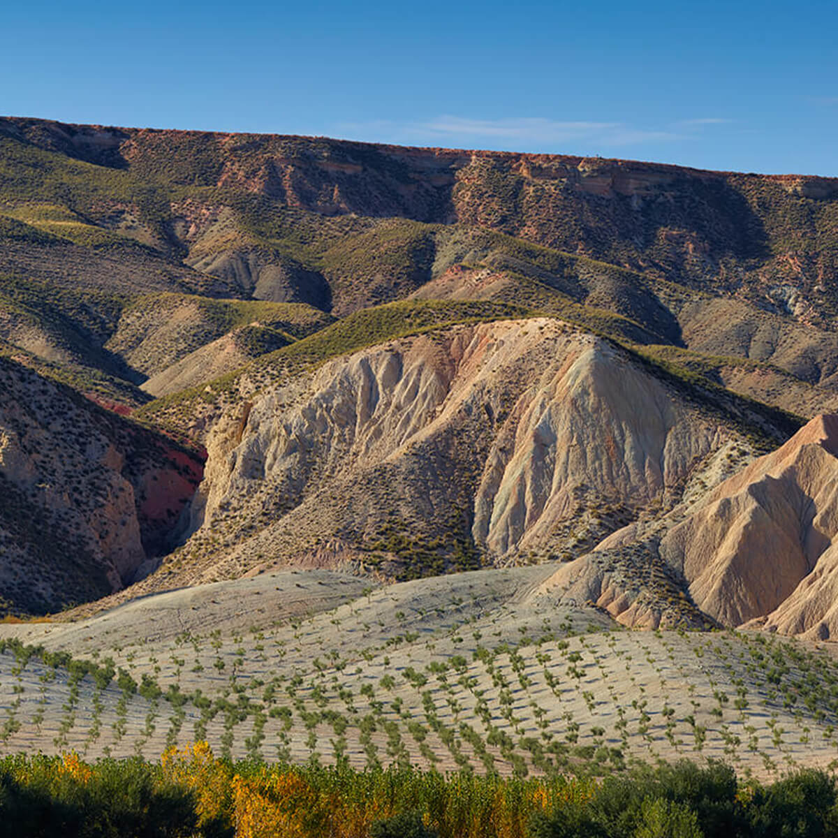 Panoramisch berglandschap