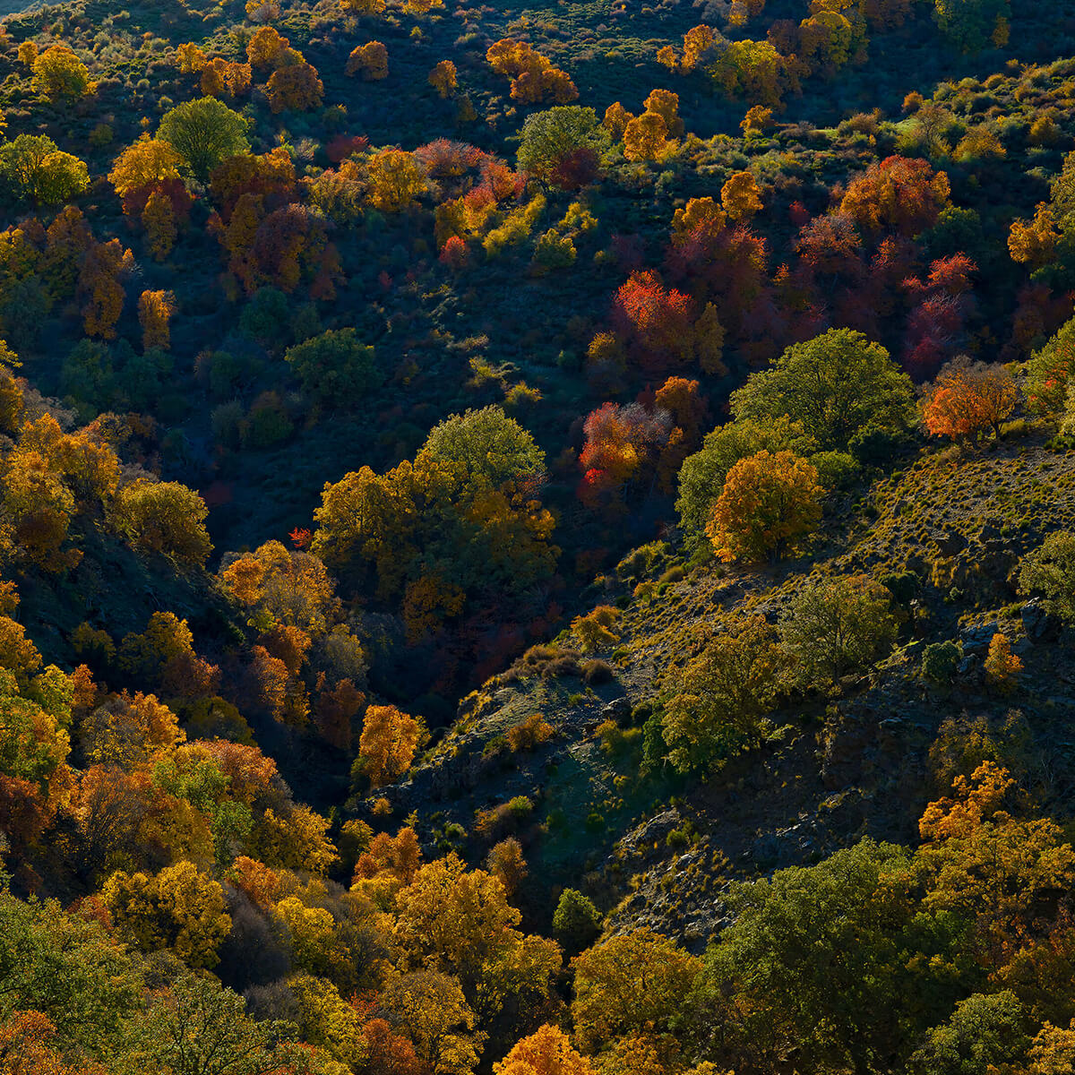 Colourful autumn