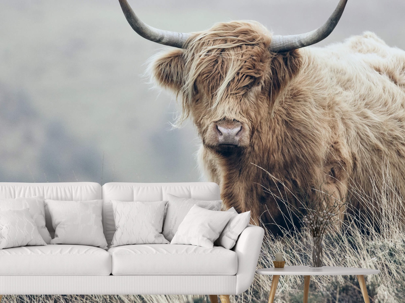 Highland Cattle - Scottish Highlander in nature - Living room 3