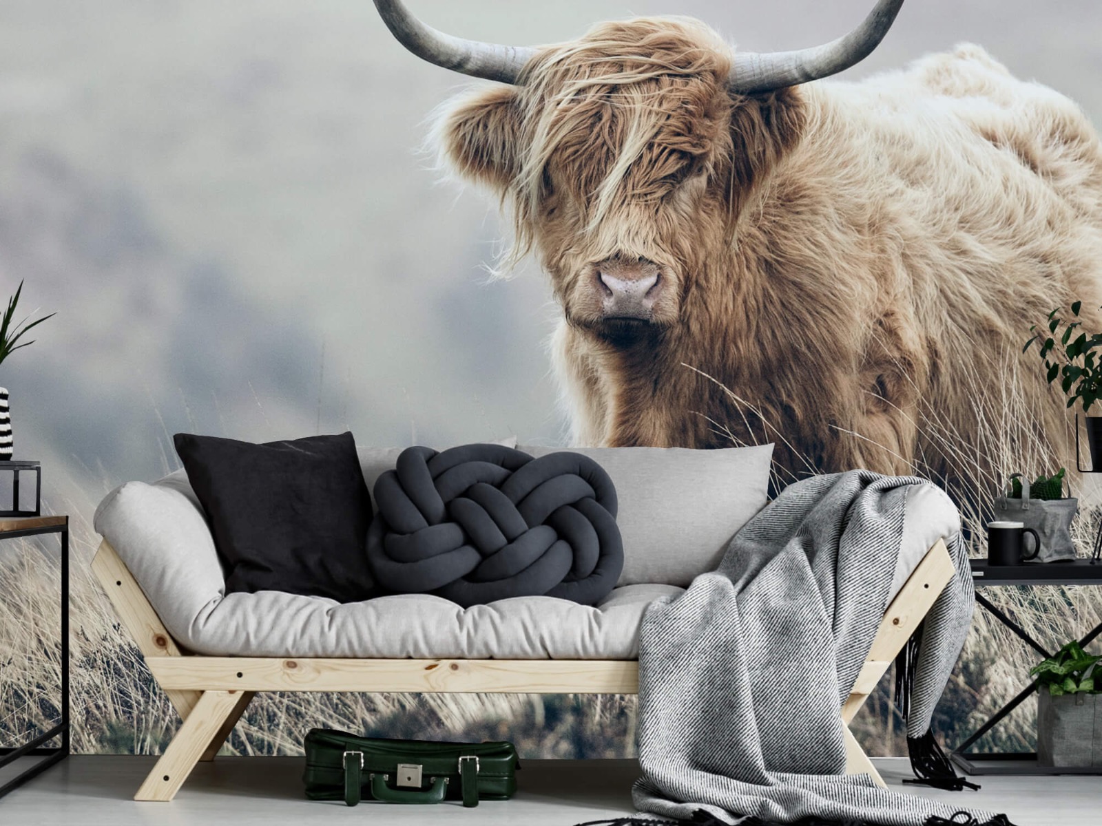 Highland Cattle - Scottish Highlander in nature - Living room 7