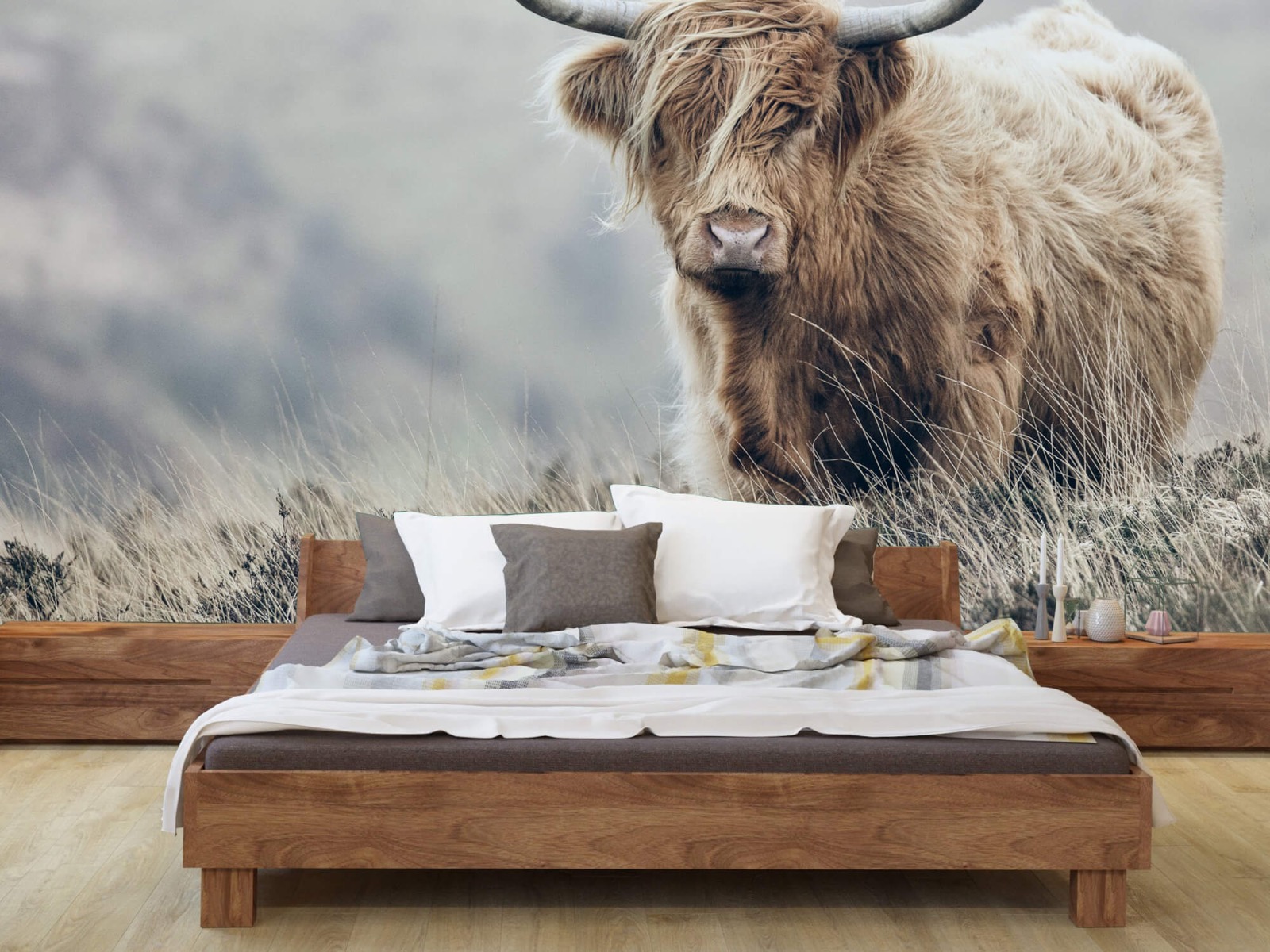 Highland Cattle - Scottish Highlander in nature - Living room 8