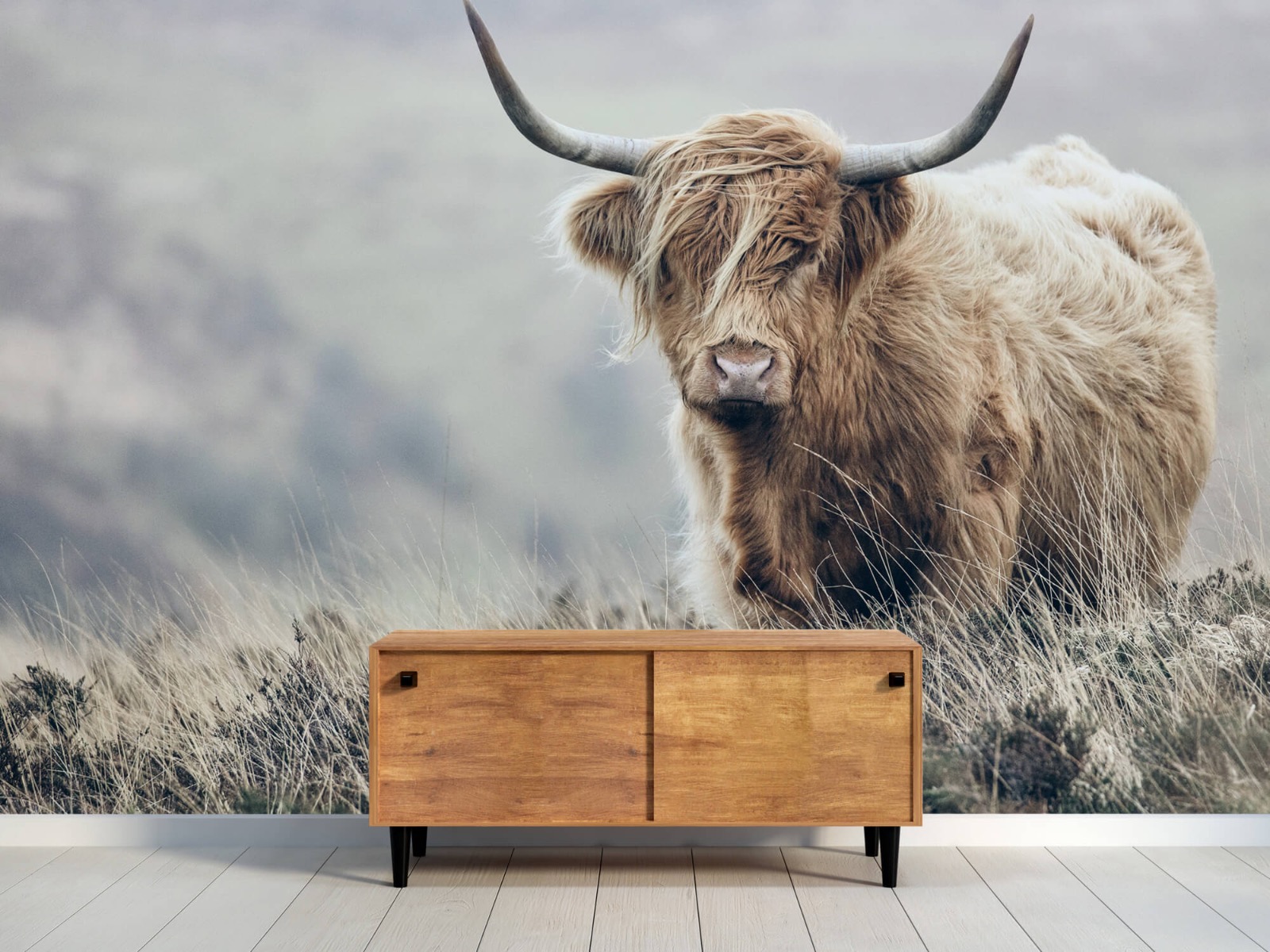 Highland Cattle - Scottish Highlander in nature - Living room 10