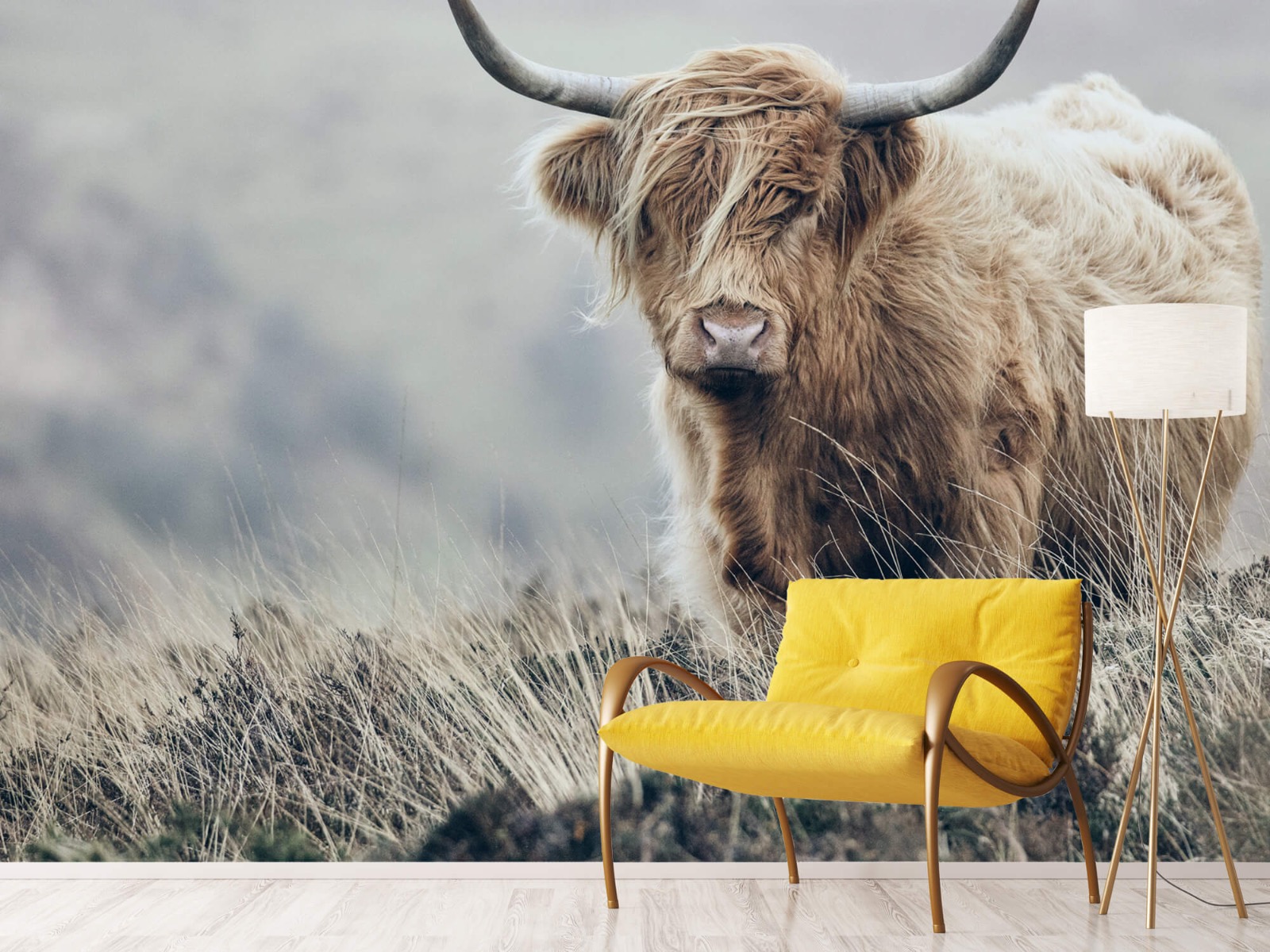 Highland Cattle - Scottish Highlander in nature - Living room 11