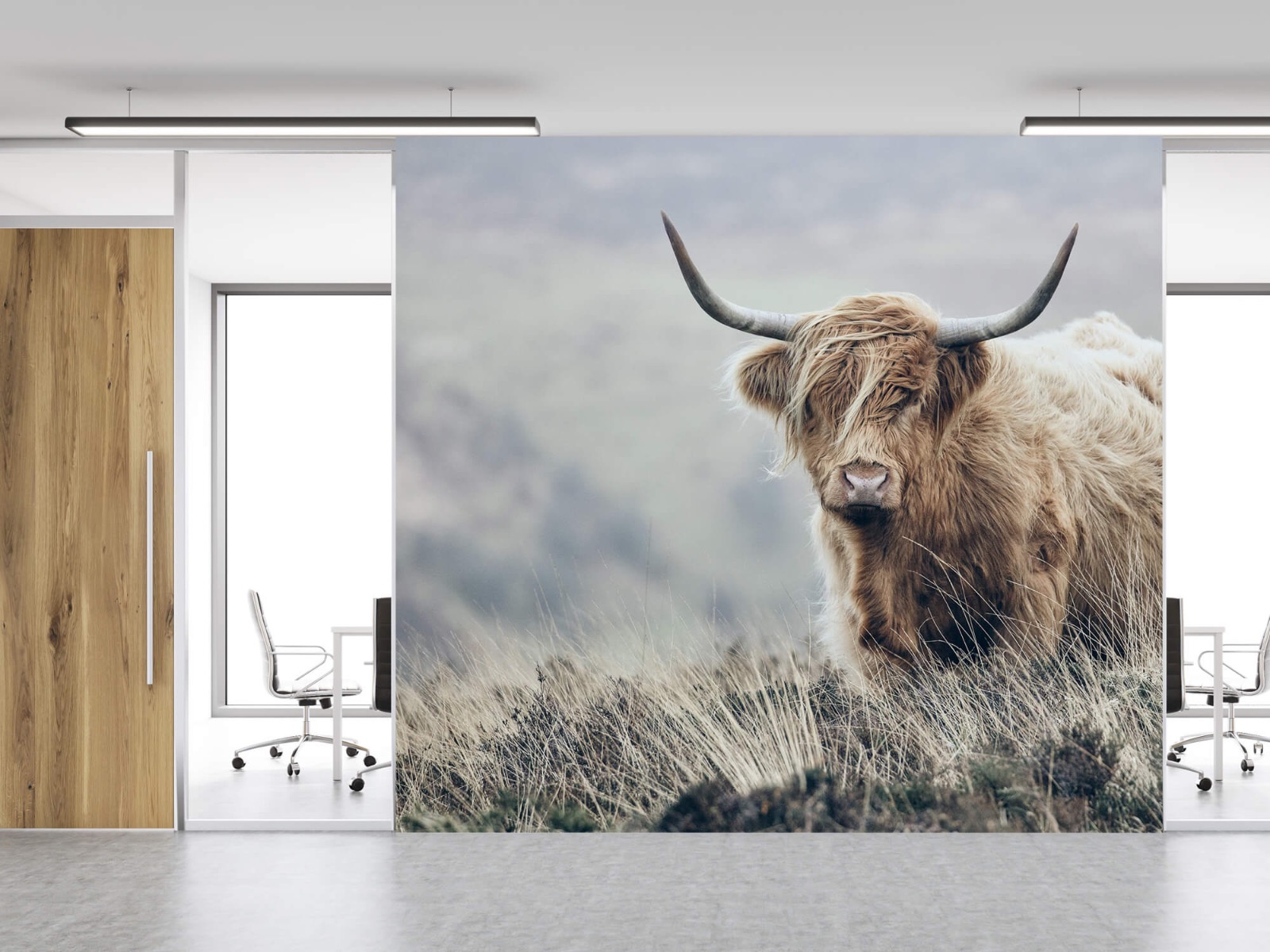 Highland Cattle - Scottish Highlander in nature - Living room 12
