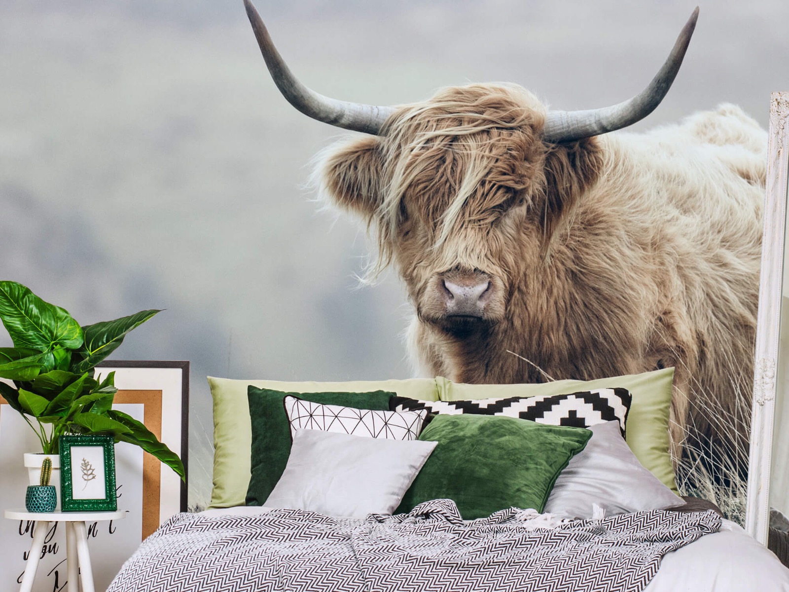 Highland Cattle - Scottish Highlander in nature - Living room 13