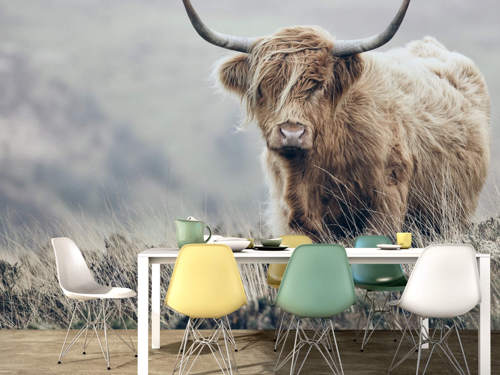 Highland Cattle - Scottish Highlander in nature - Living room 16
