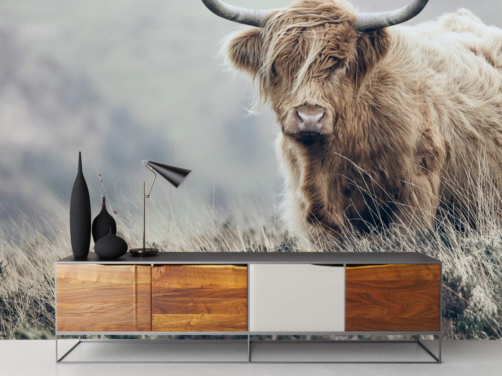 Highland Cattle - Scottish Highlander in nature - Living room 17