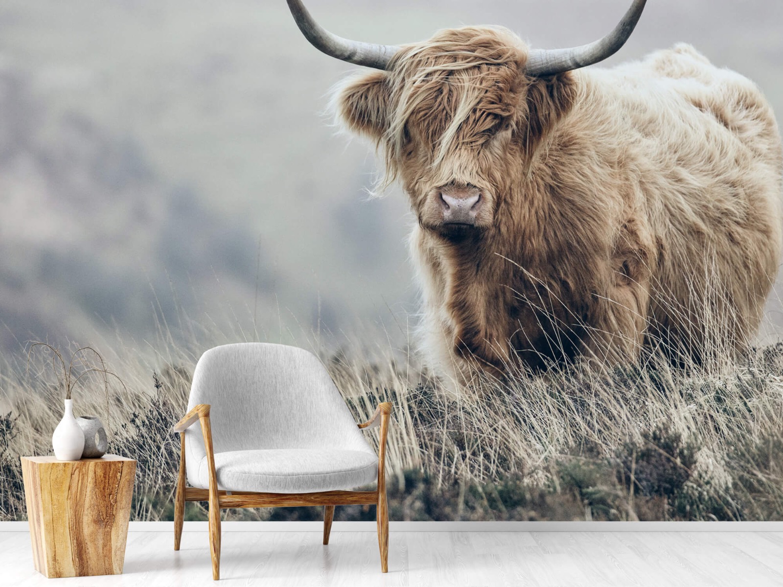 Highland Cattle - Scottish Highlander in nature - Living room 19