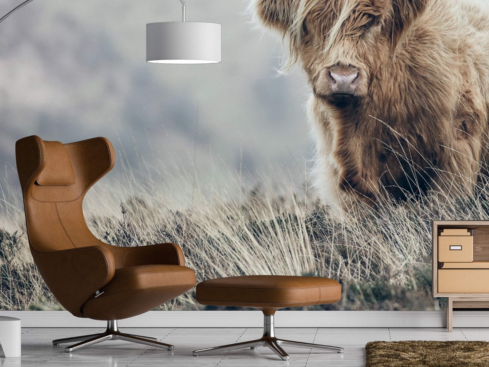 Highland Cattle - Scottish Highlander in nature - Living room 1