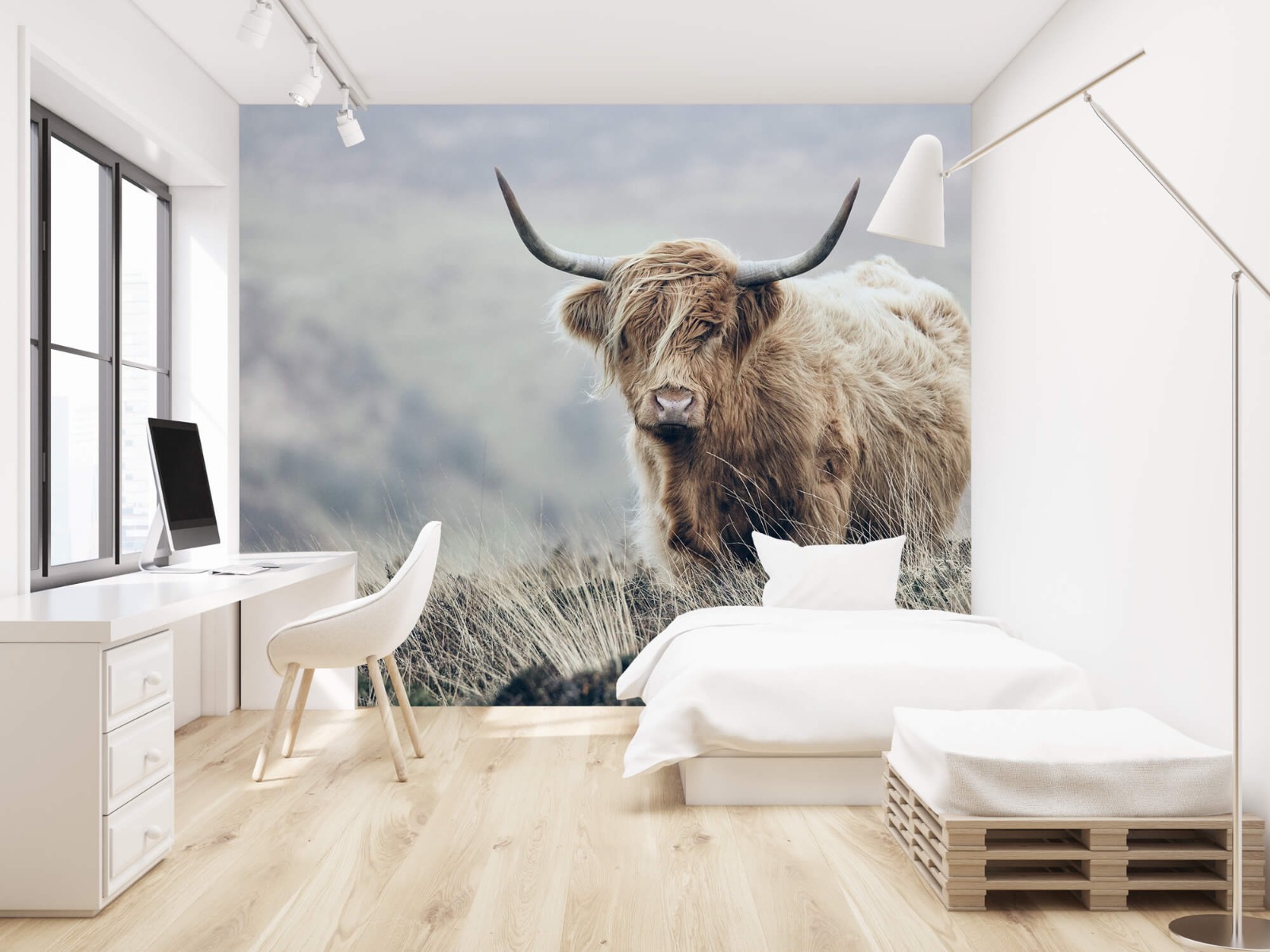 Highland Cattle - Scottish Highlander in nature - Living room 22