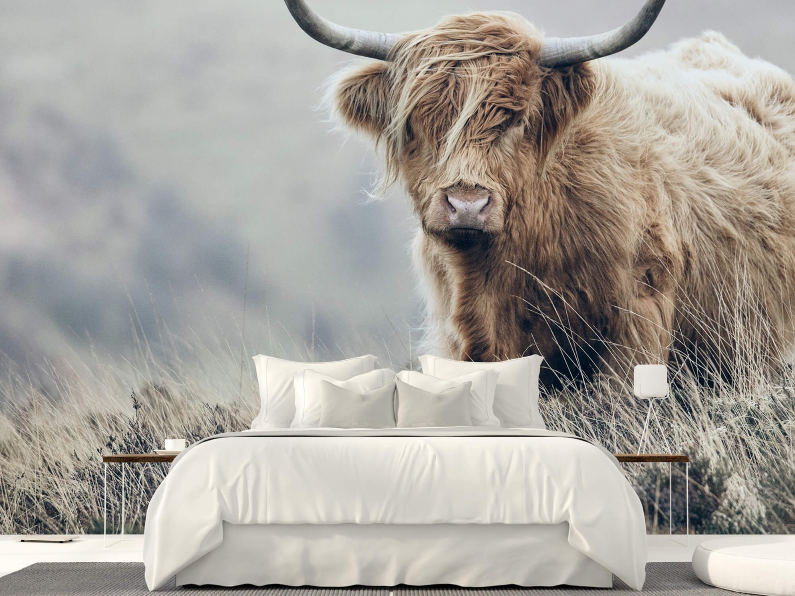 Highland Cattle - Scottish Highlander in nature - Living room 23