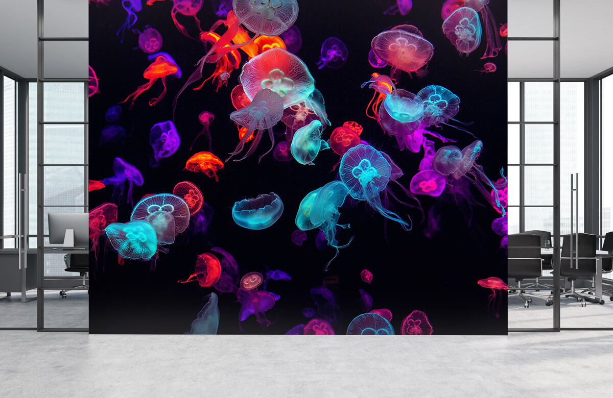 Animals Coloured jellyfish 4