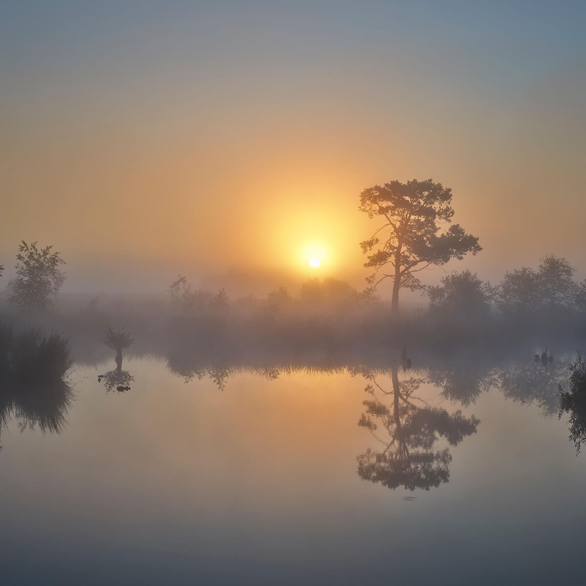 Mistige zonsopkomst