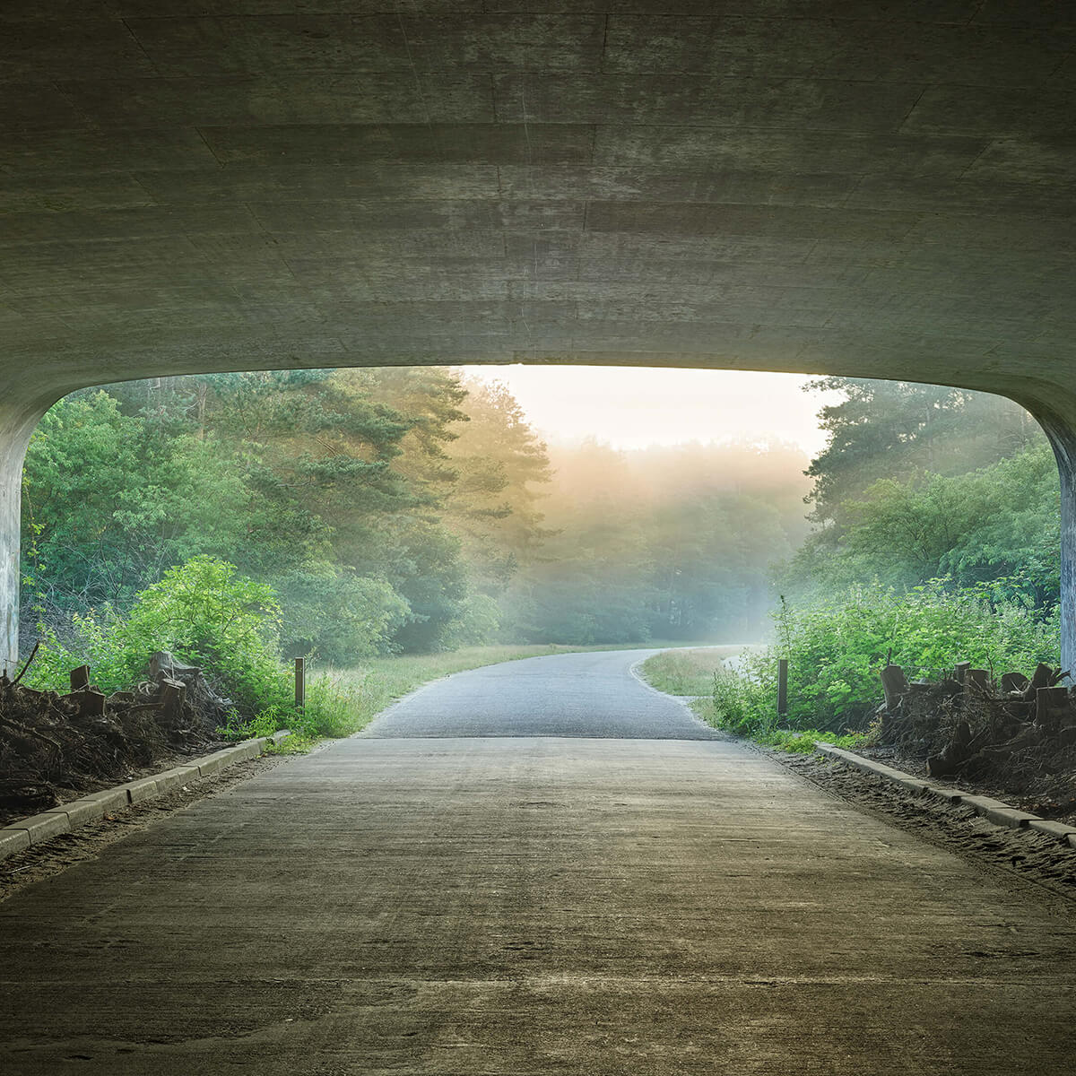 Le soleil au bout d'un tunnel