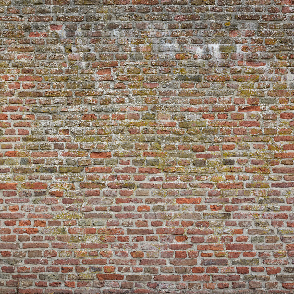 Charakteristische Stadtmauer