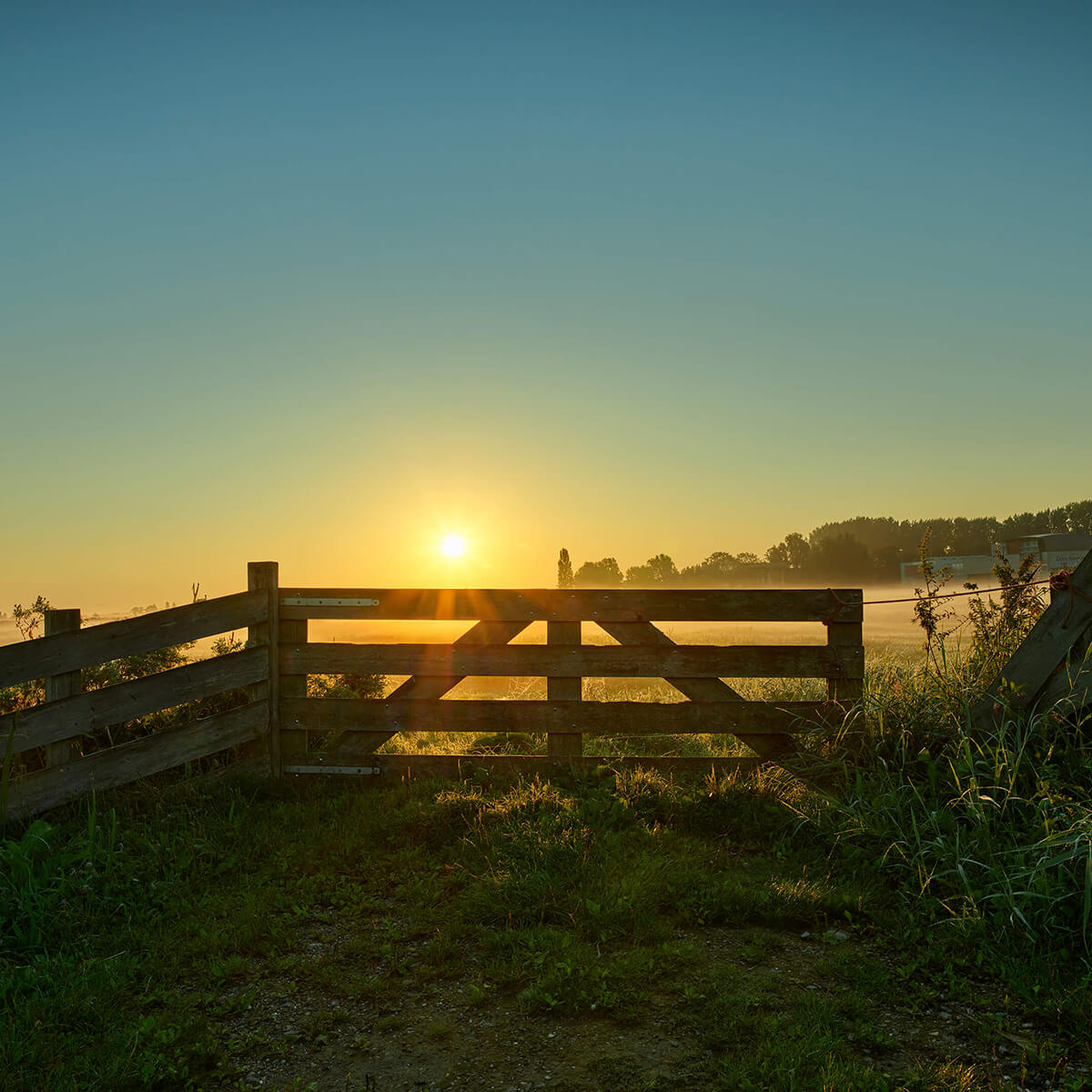 Zaun bei Sonnenaufgang