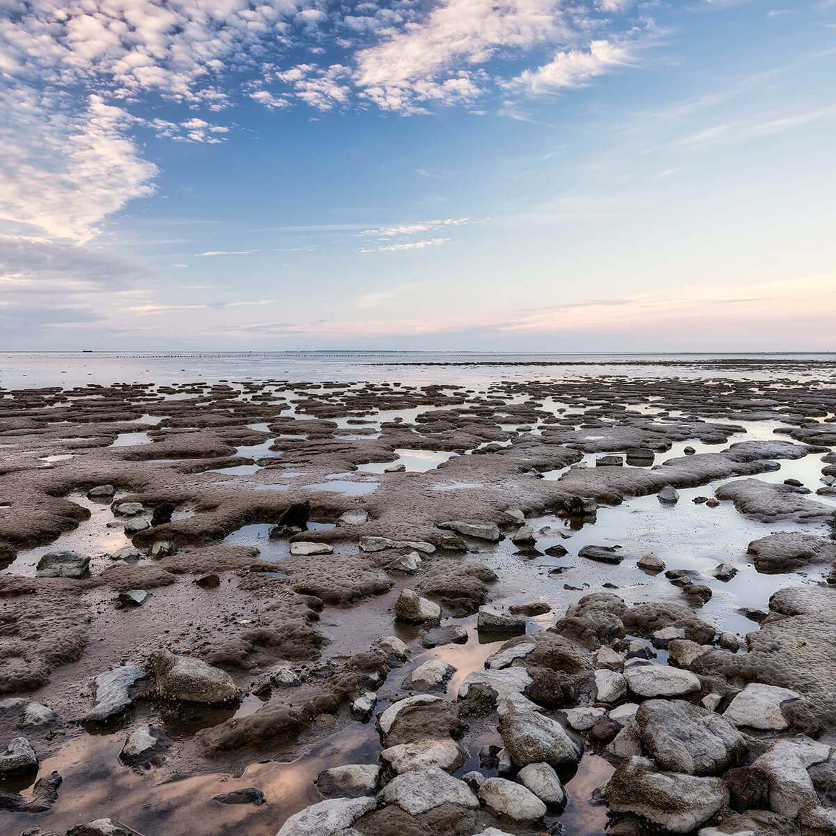 Stenen langs de kust