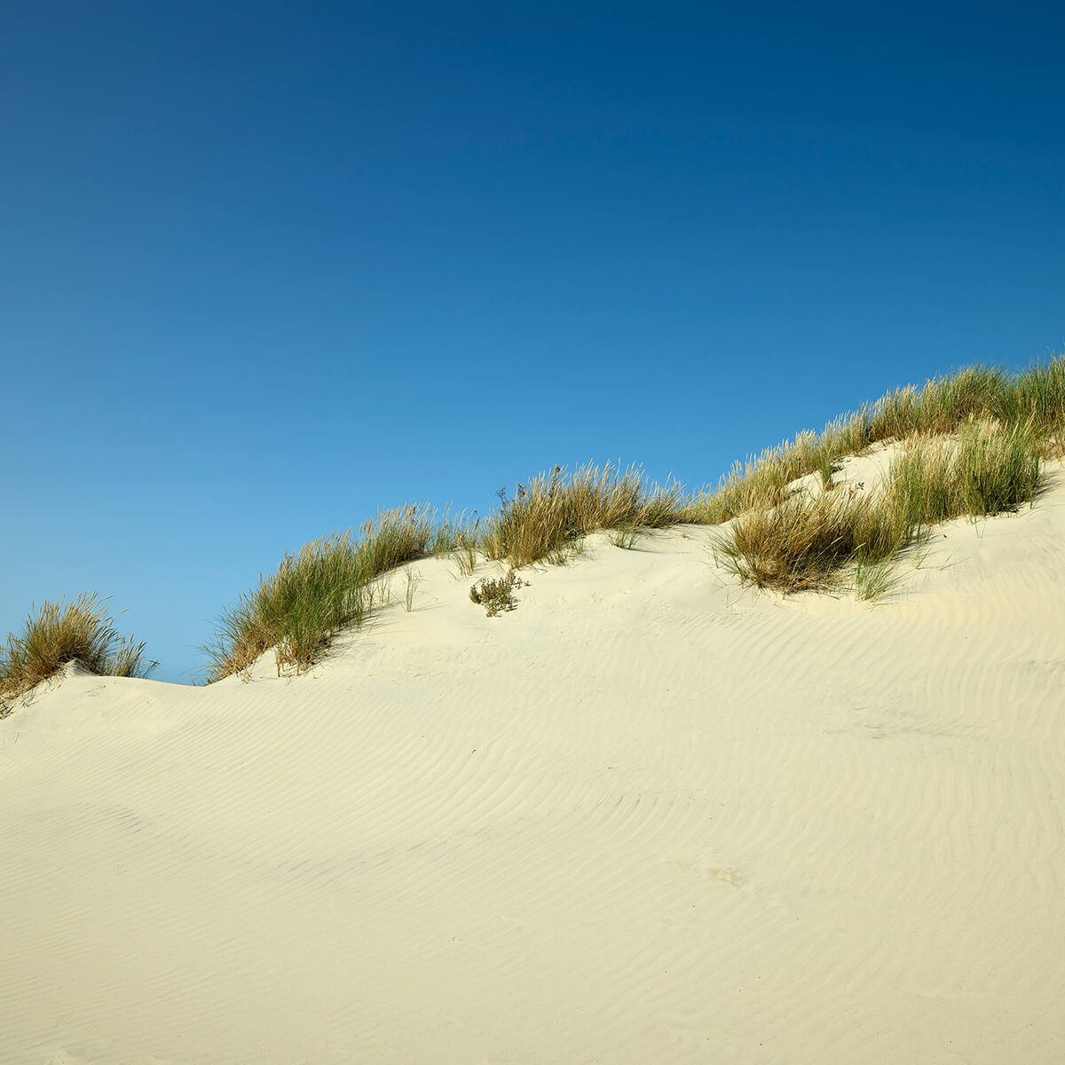 Dunes avec ciel bleu