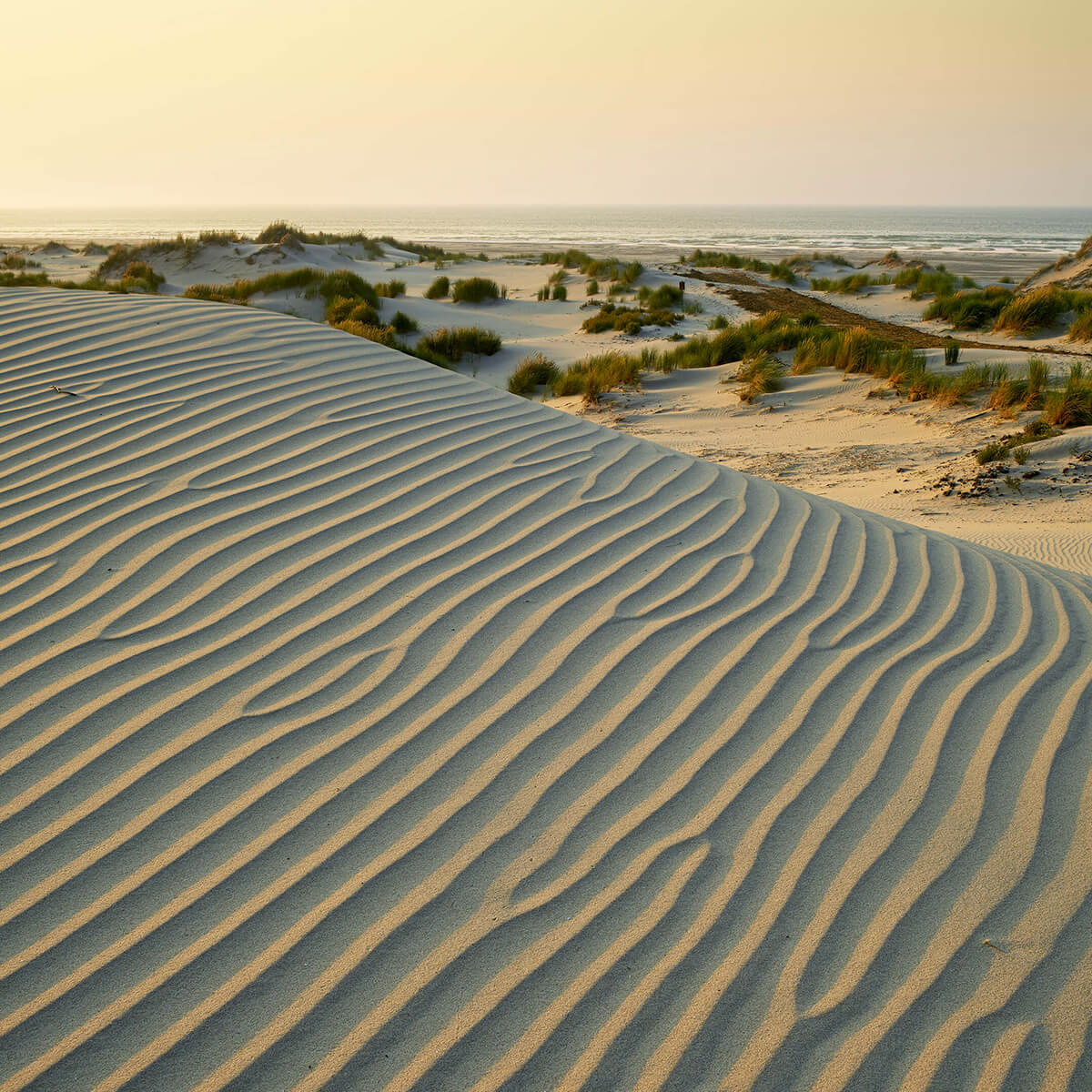 Dunes au coucher du soleil