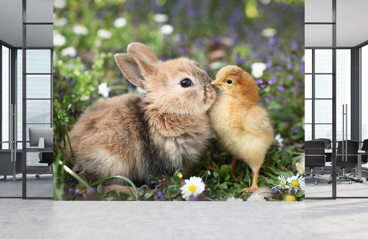 Wallpaper Rabbit and chick 6