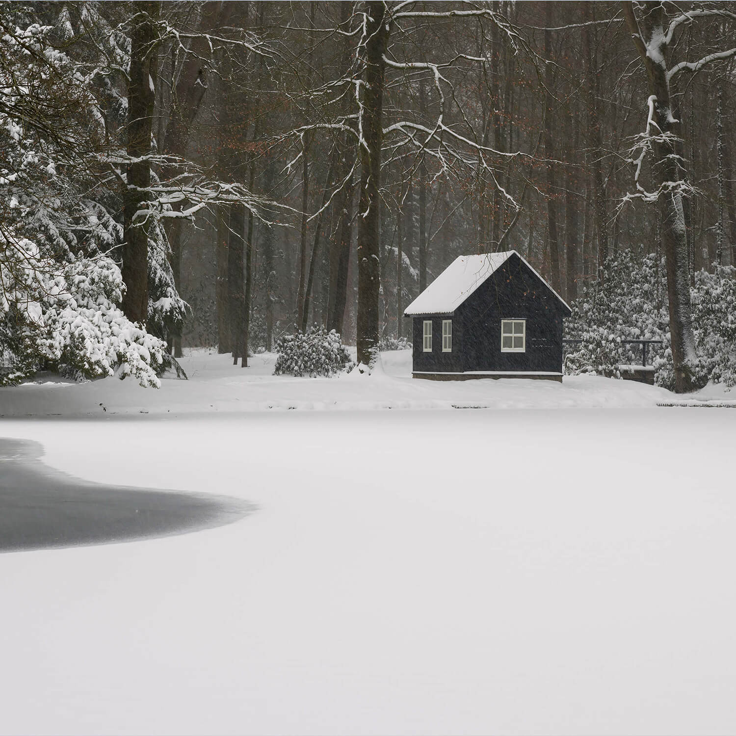 Chalet dans la neige