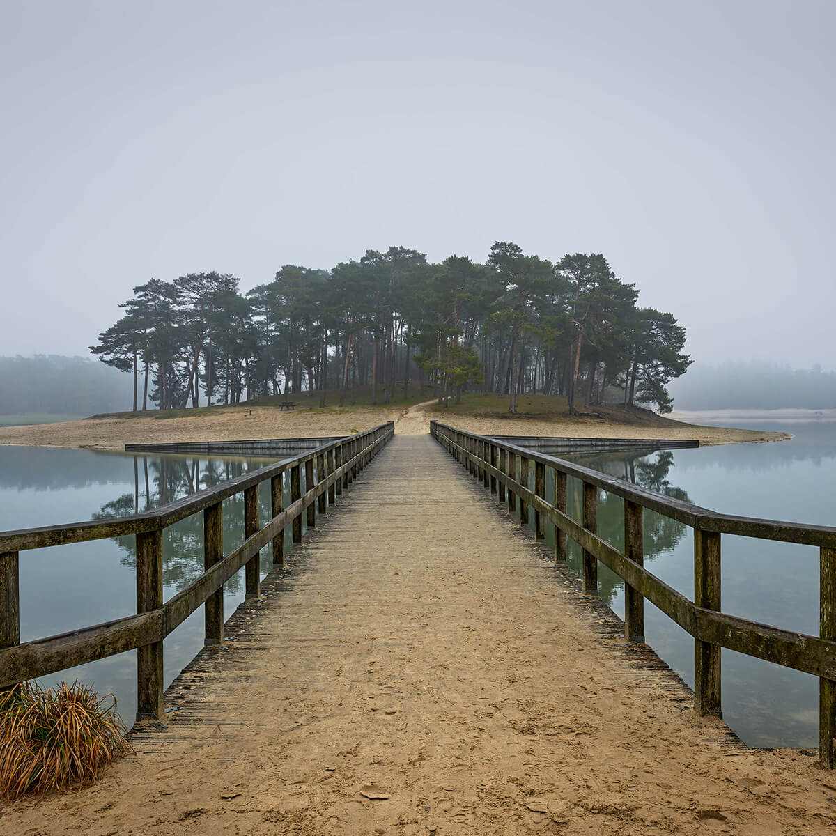 Une île dans le brouillard