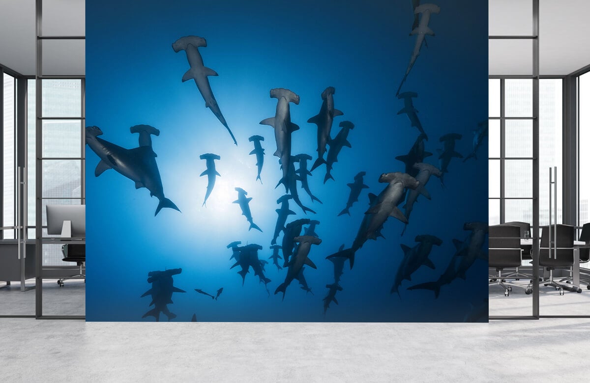 Underwater Hammerhead Shark - Underwater Photography 7