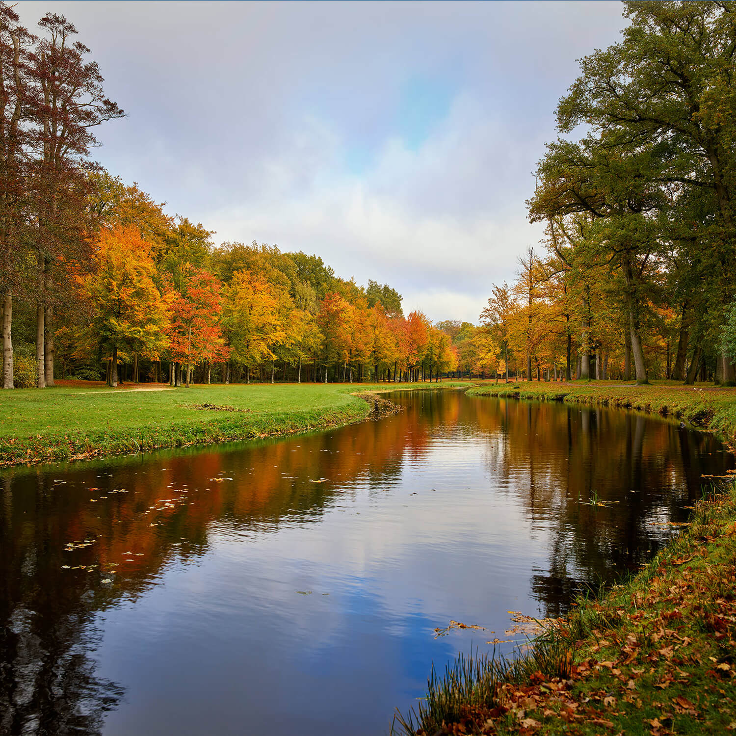 Wald im Herbst