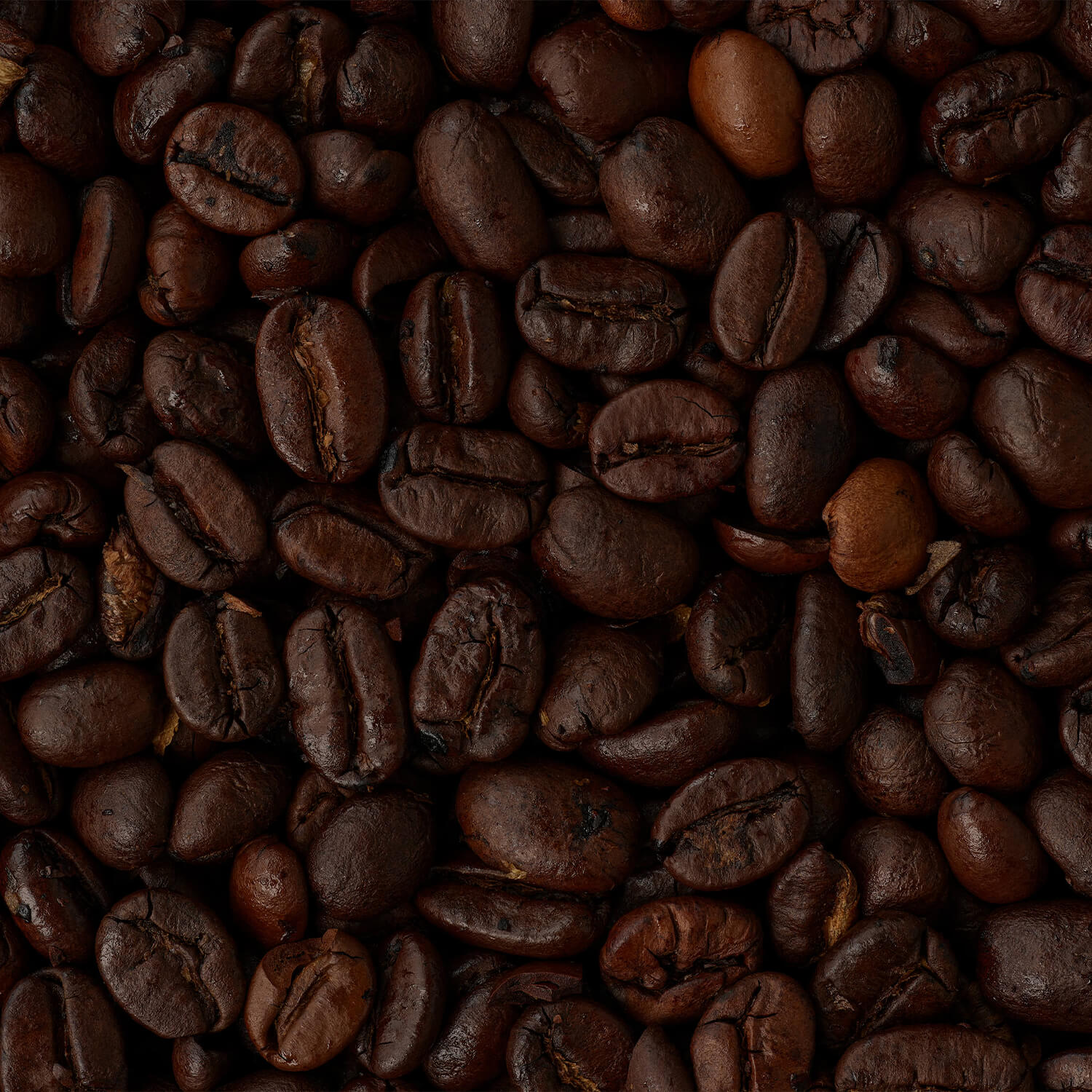 Coffee beans close up