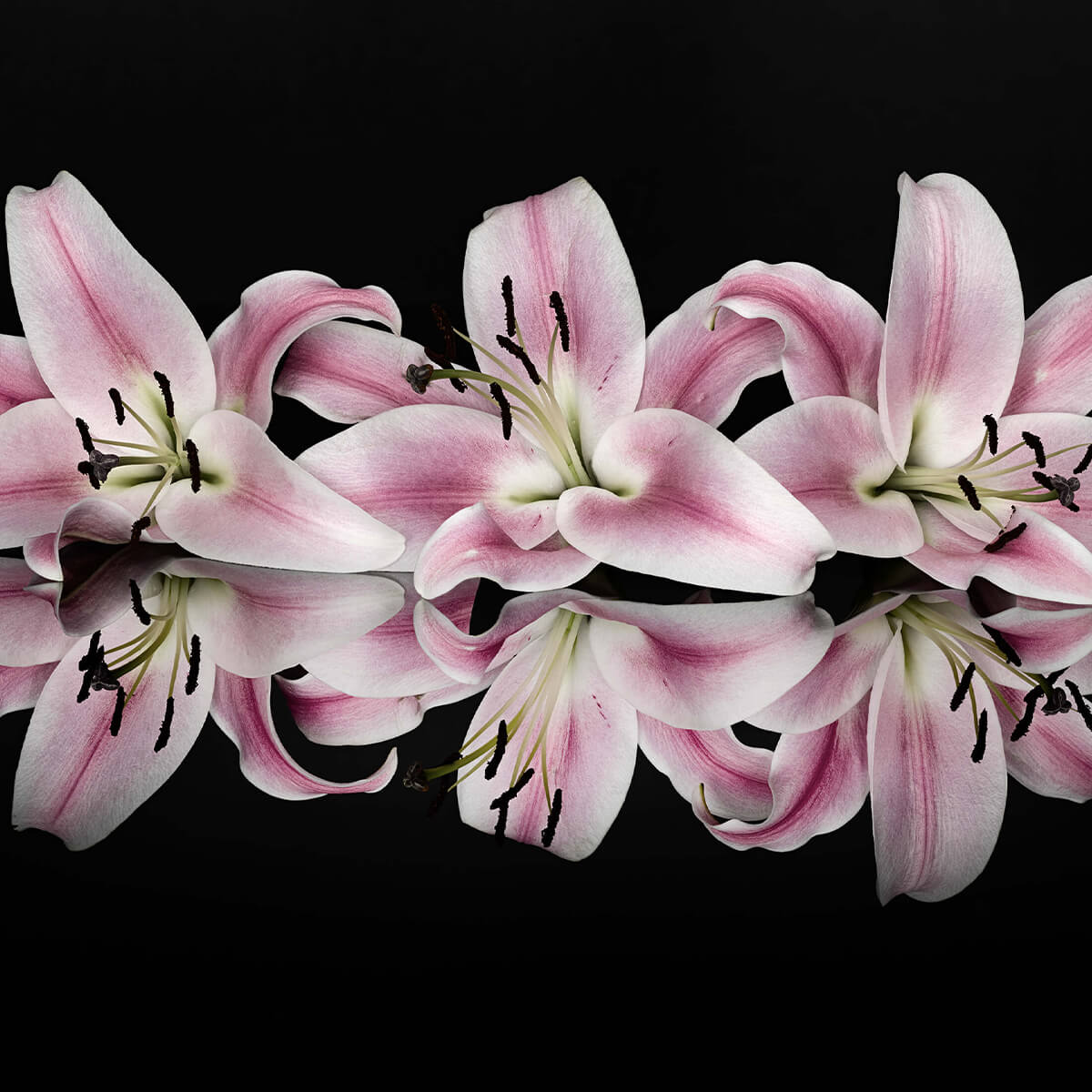 Pink flowers bouquet