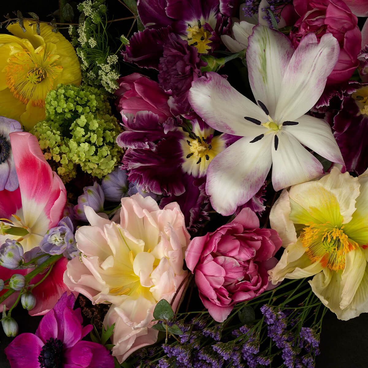 Colorful flowers