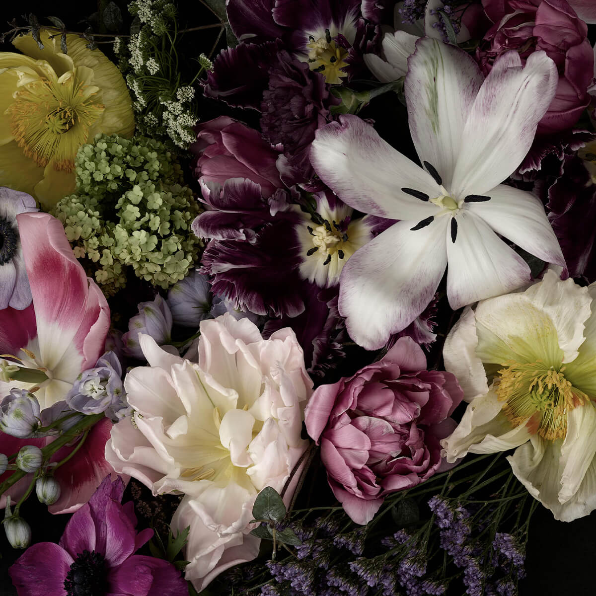 Kleurrijke bloemen donker