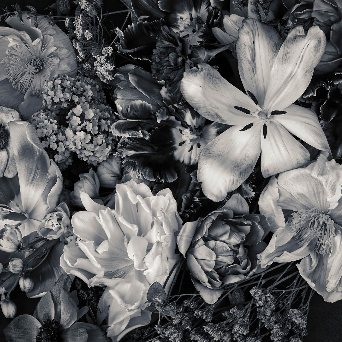 Bouquet of flowers in black and white