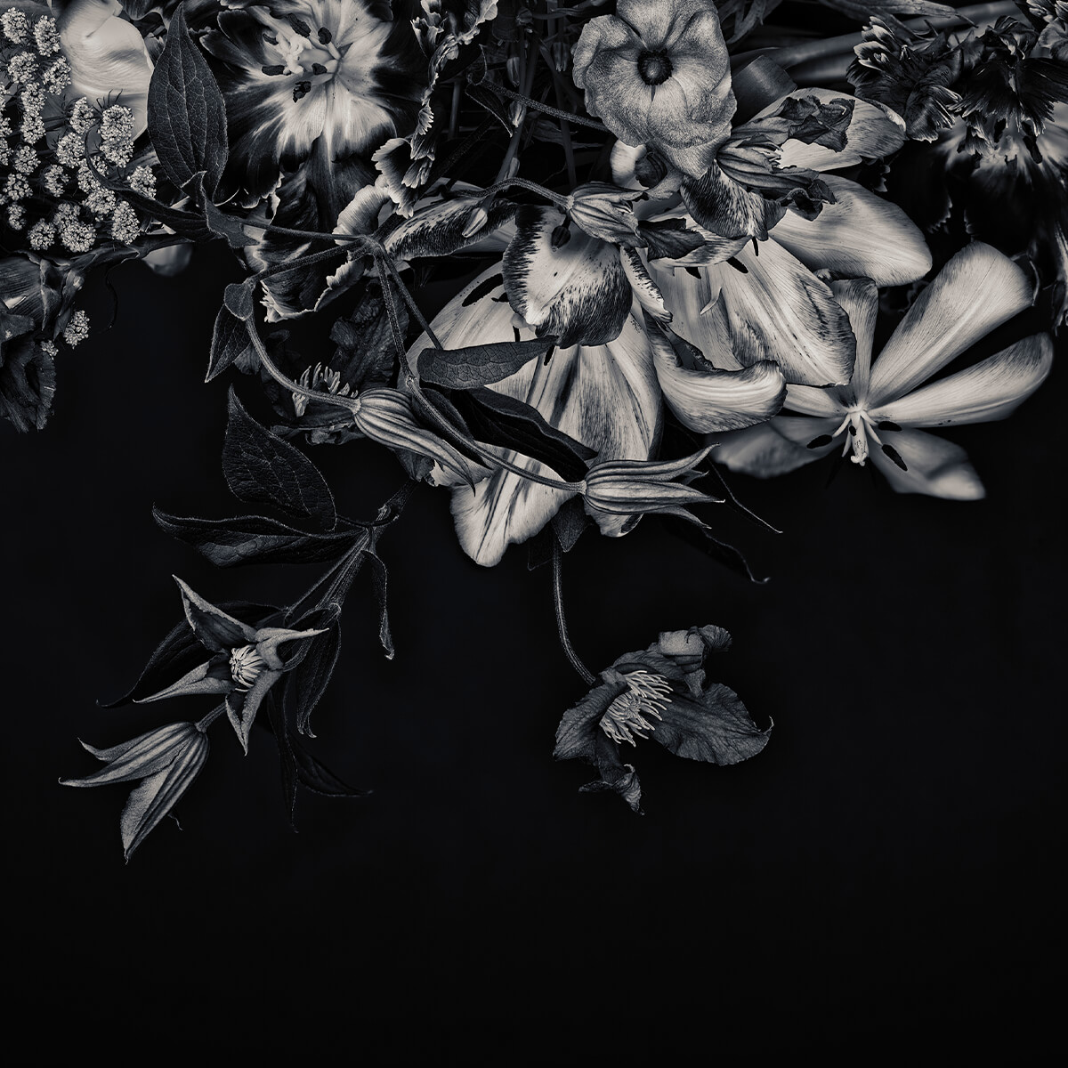 Blumen Wand Blauton