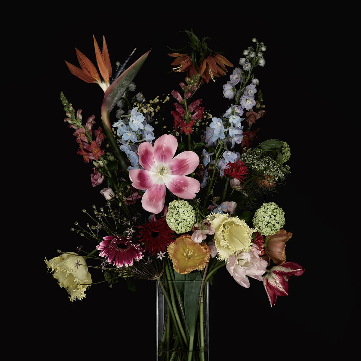 Still life of flowers