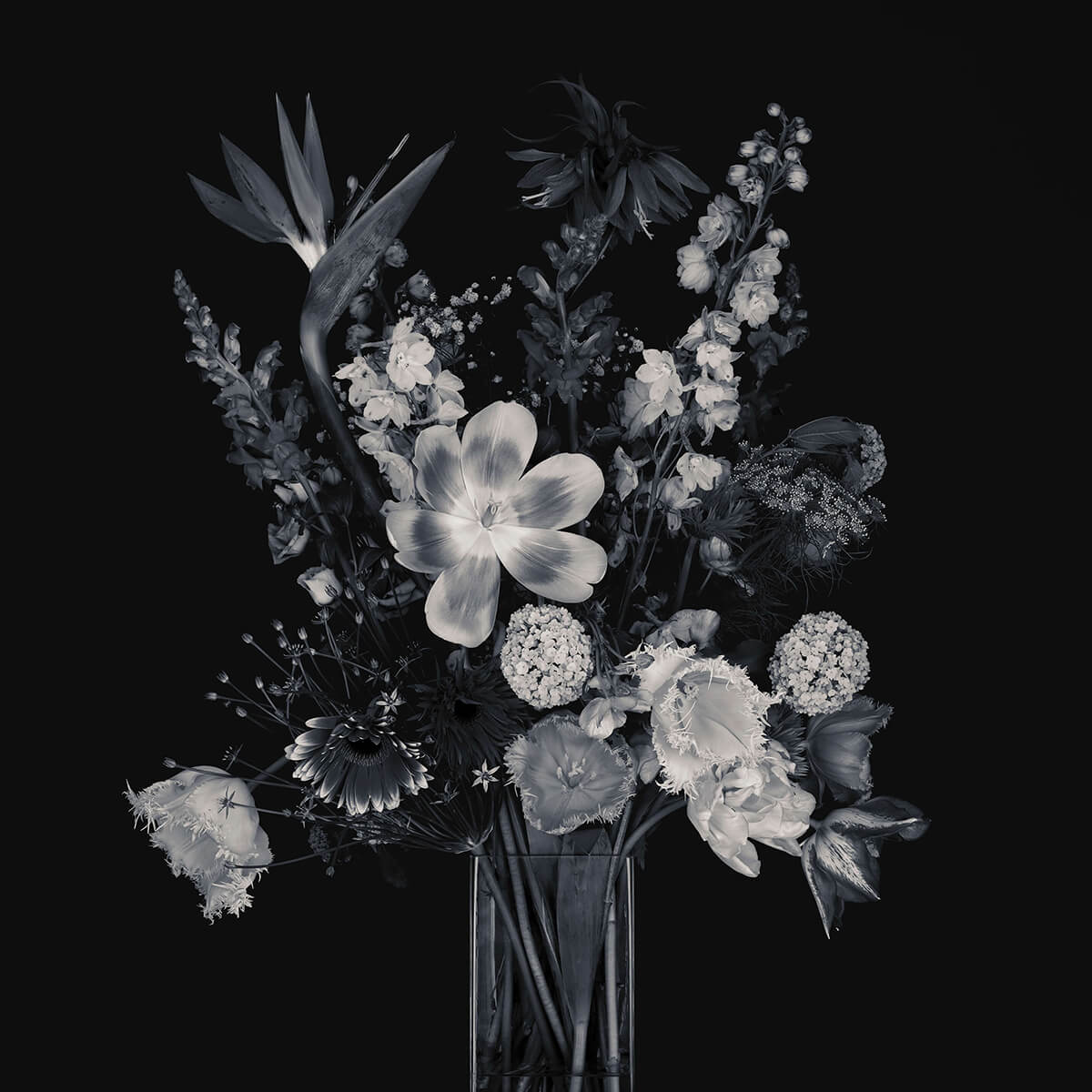 Bouquet de fleurs dans un vase en verre noir et blanc