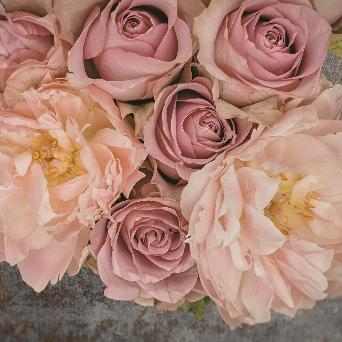 Bouquet de roses vintage