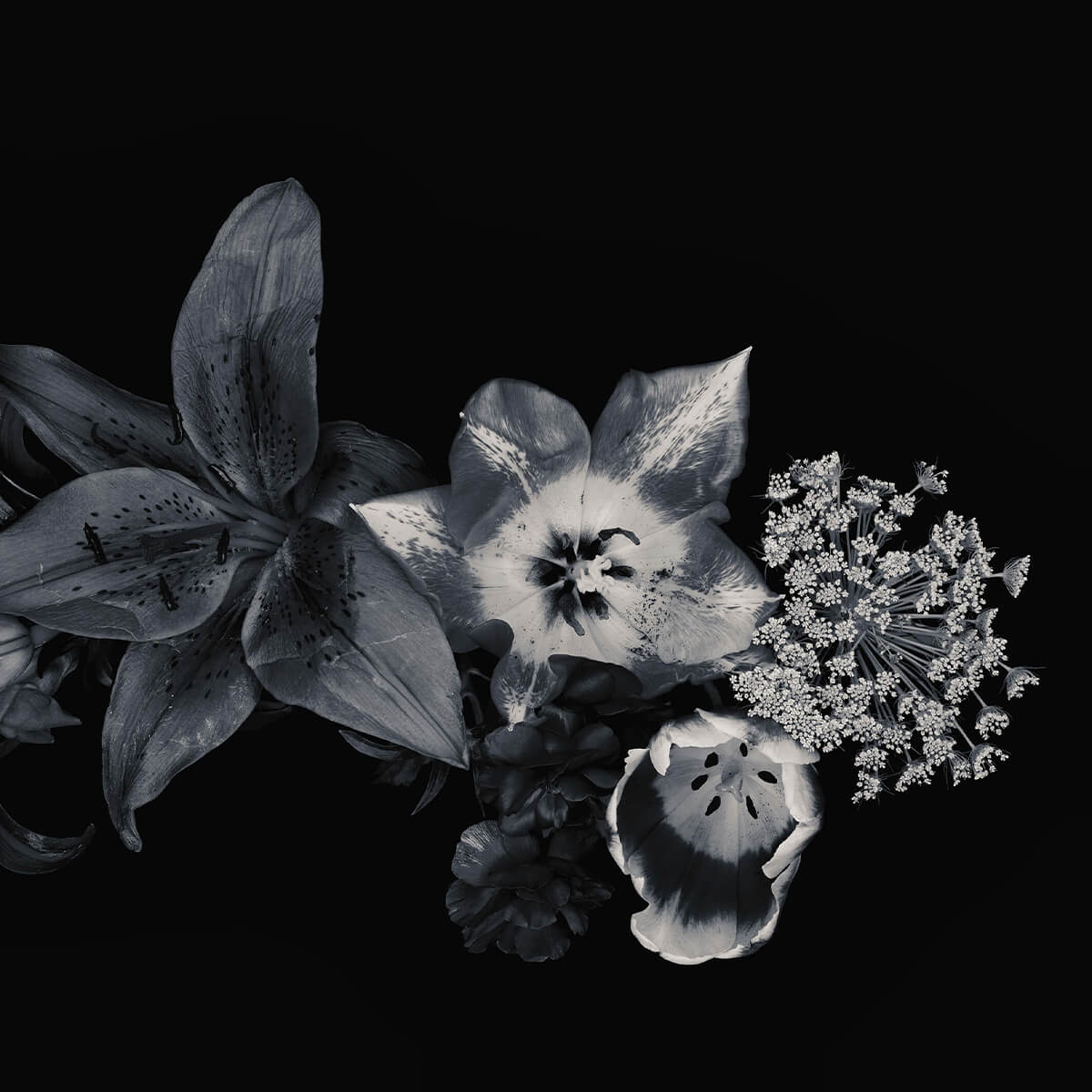 Composition de fleurs noir et blanc