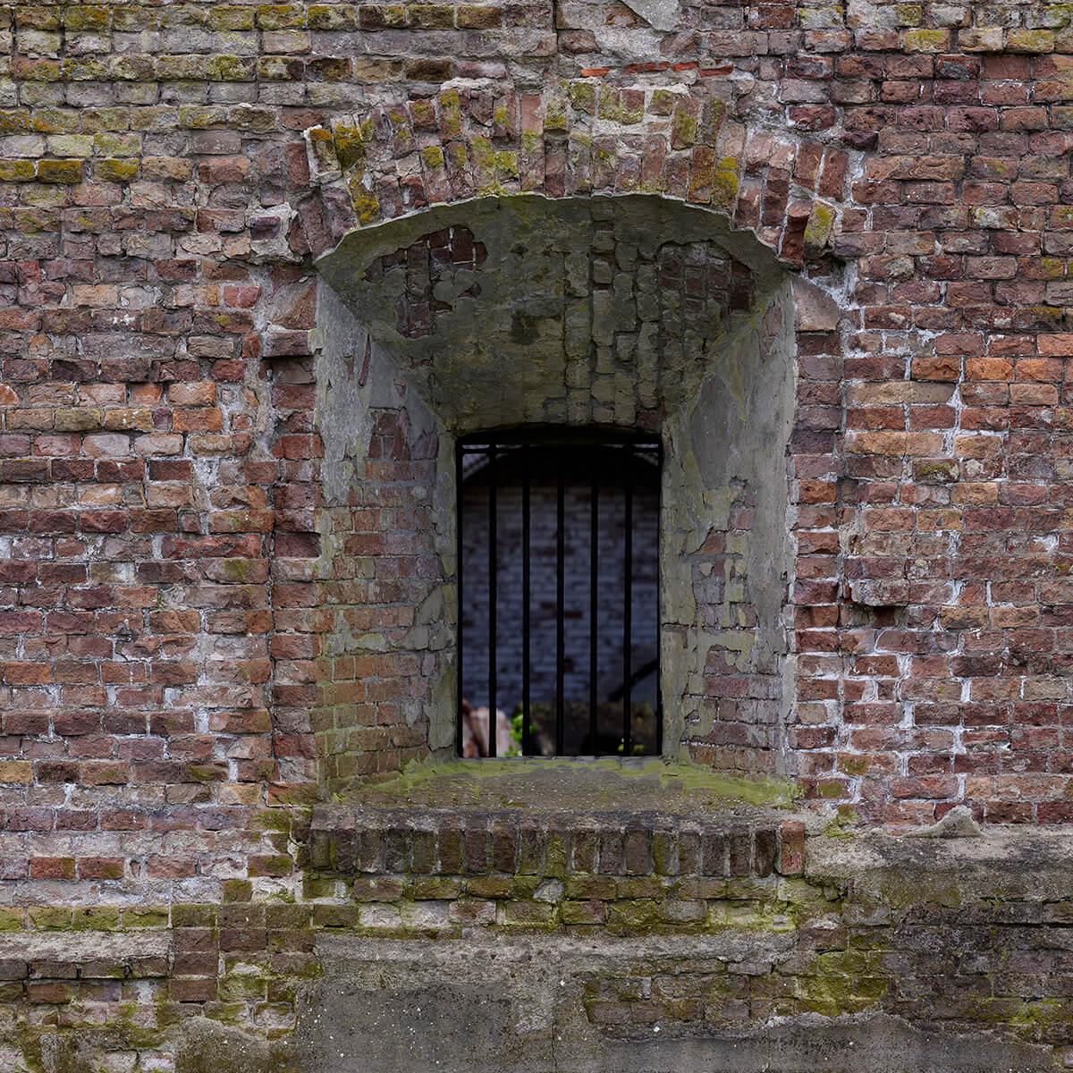 Encastrement dans un vieux mur