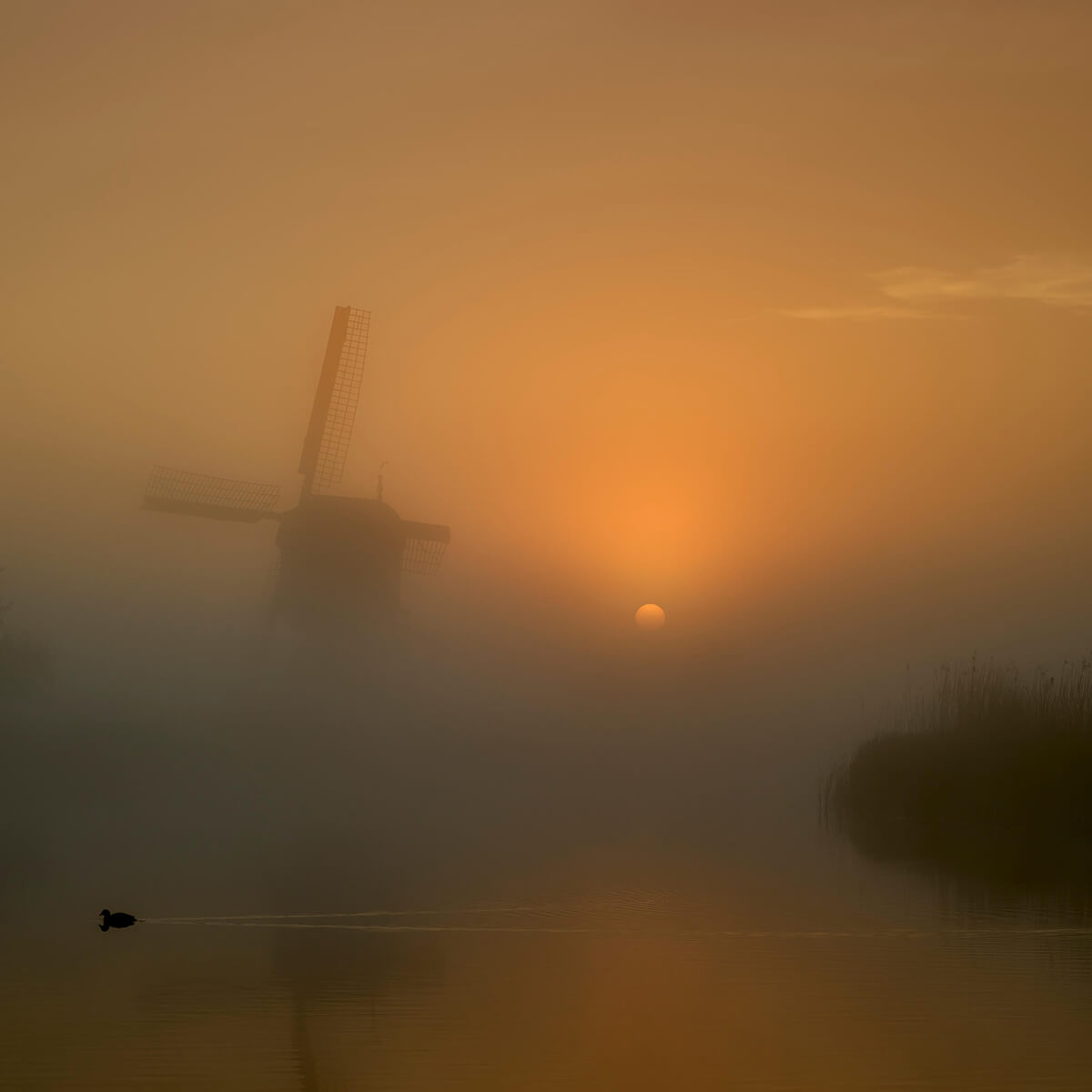 Moulin dans le brouillard