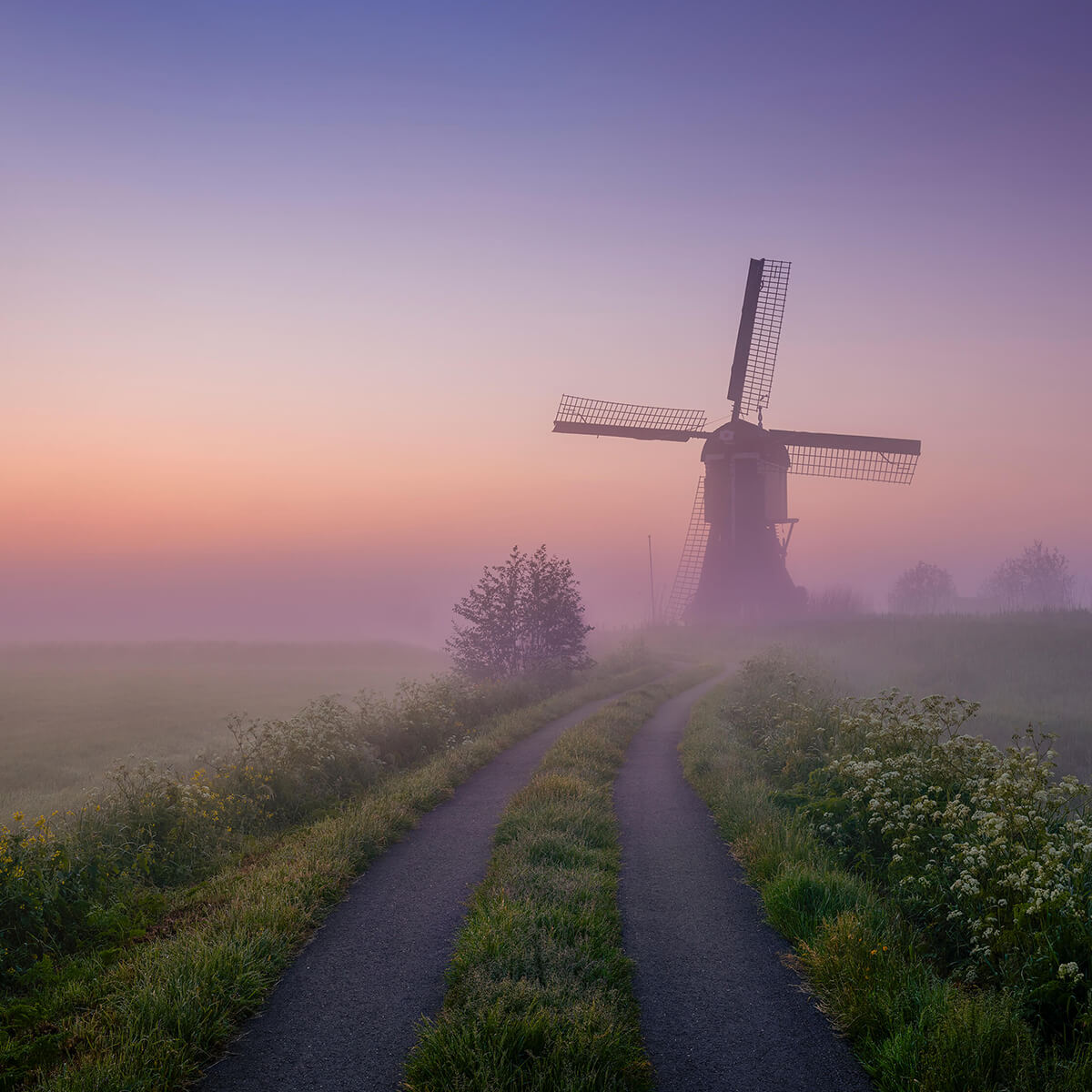 Le chemin du moulin