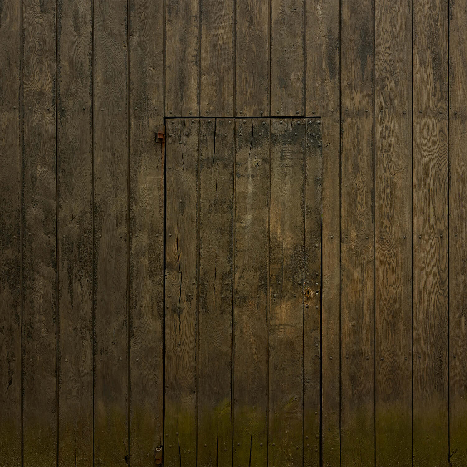 Wooden wall with door