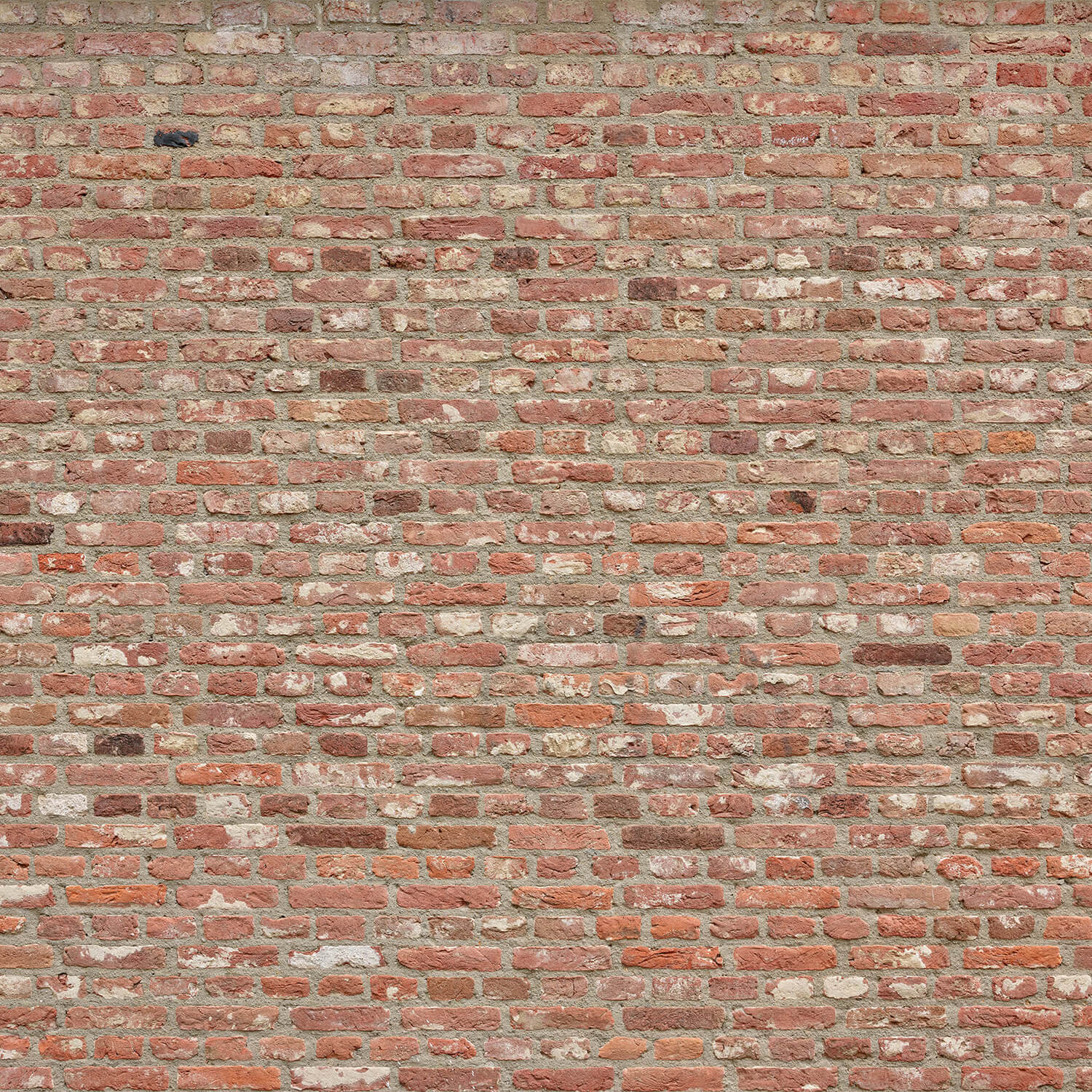 Wall with different colours of bricks