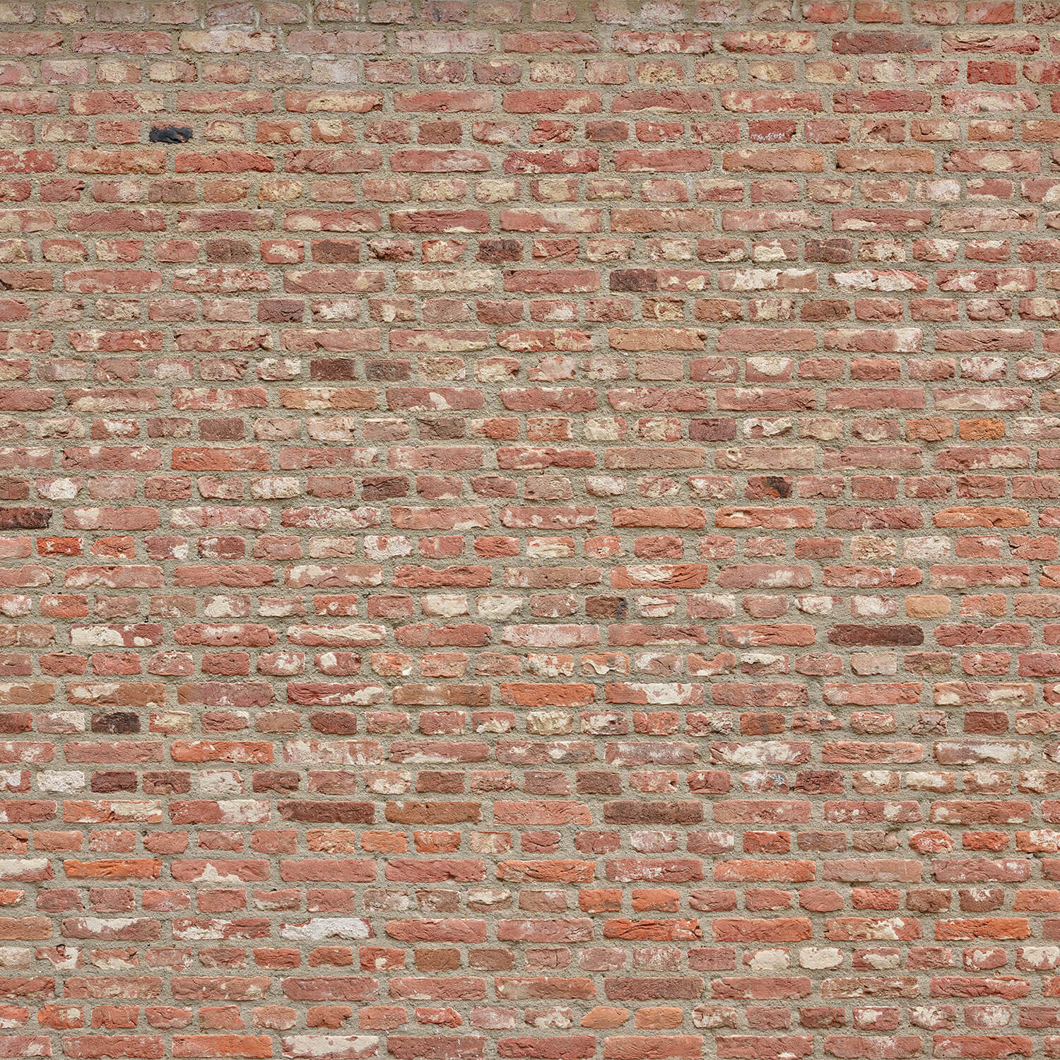 Mur avec des briques de différentes couleurs