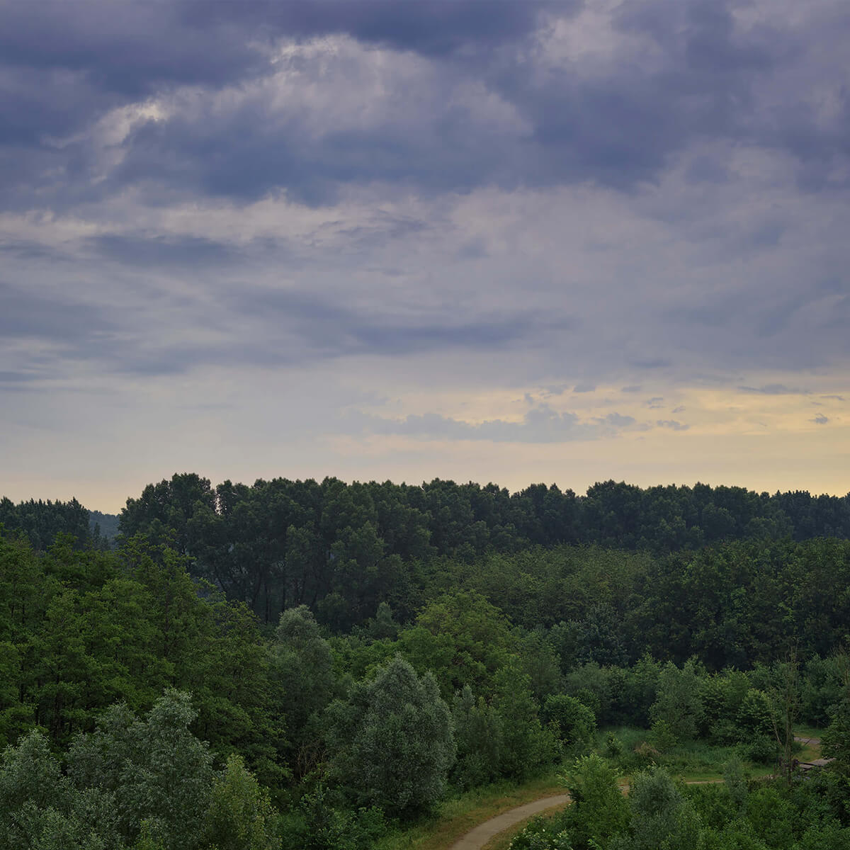 Bedrohliche Wolken über den Wäldern