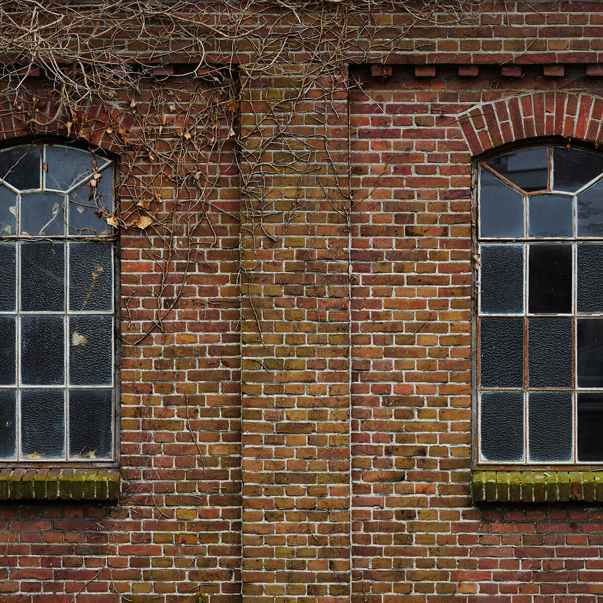 Fenêtres dans un ancien bâtiment d'usine