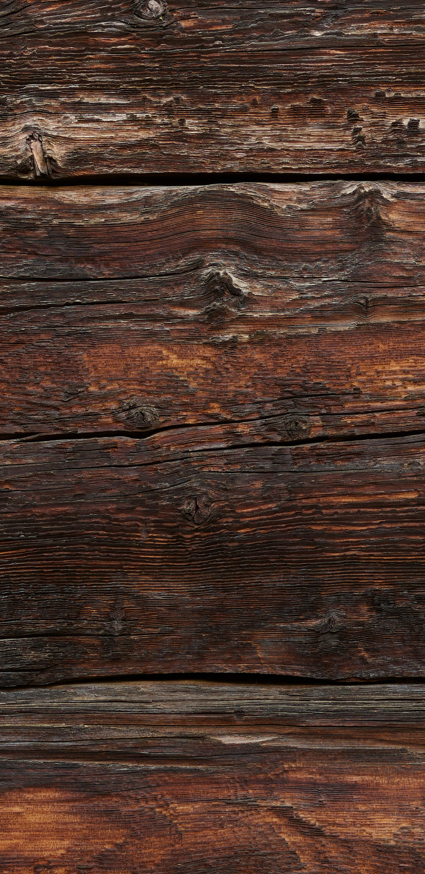 Detailed Image 1 Detailed Image 1