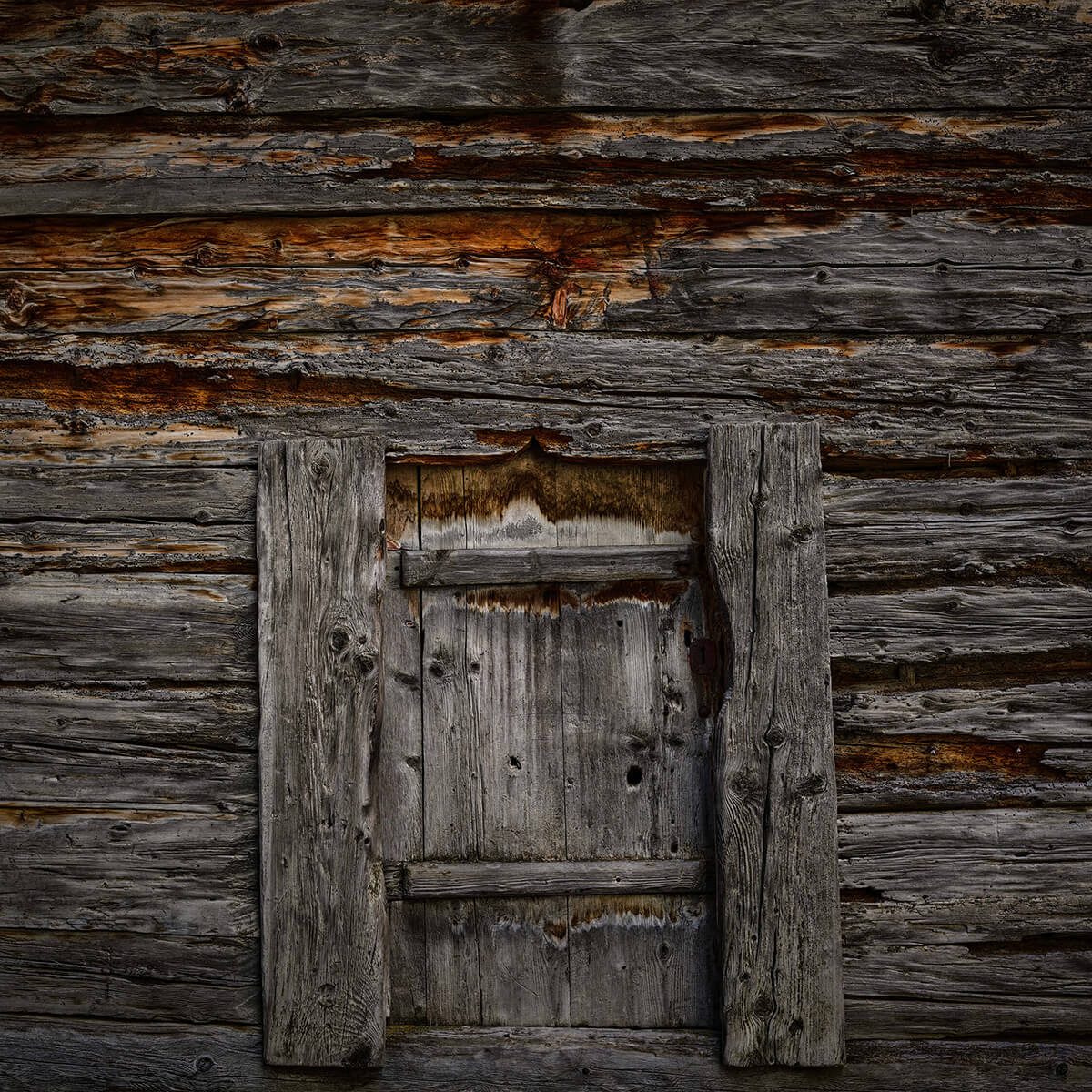 Dark wood with door